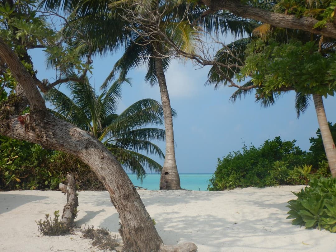 Lagoon Villa Maldives - View 74