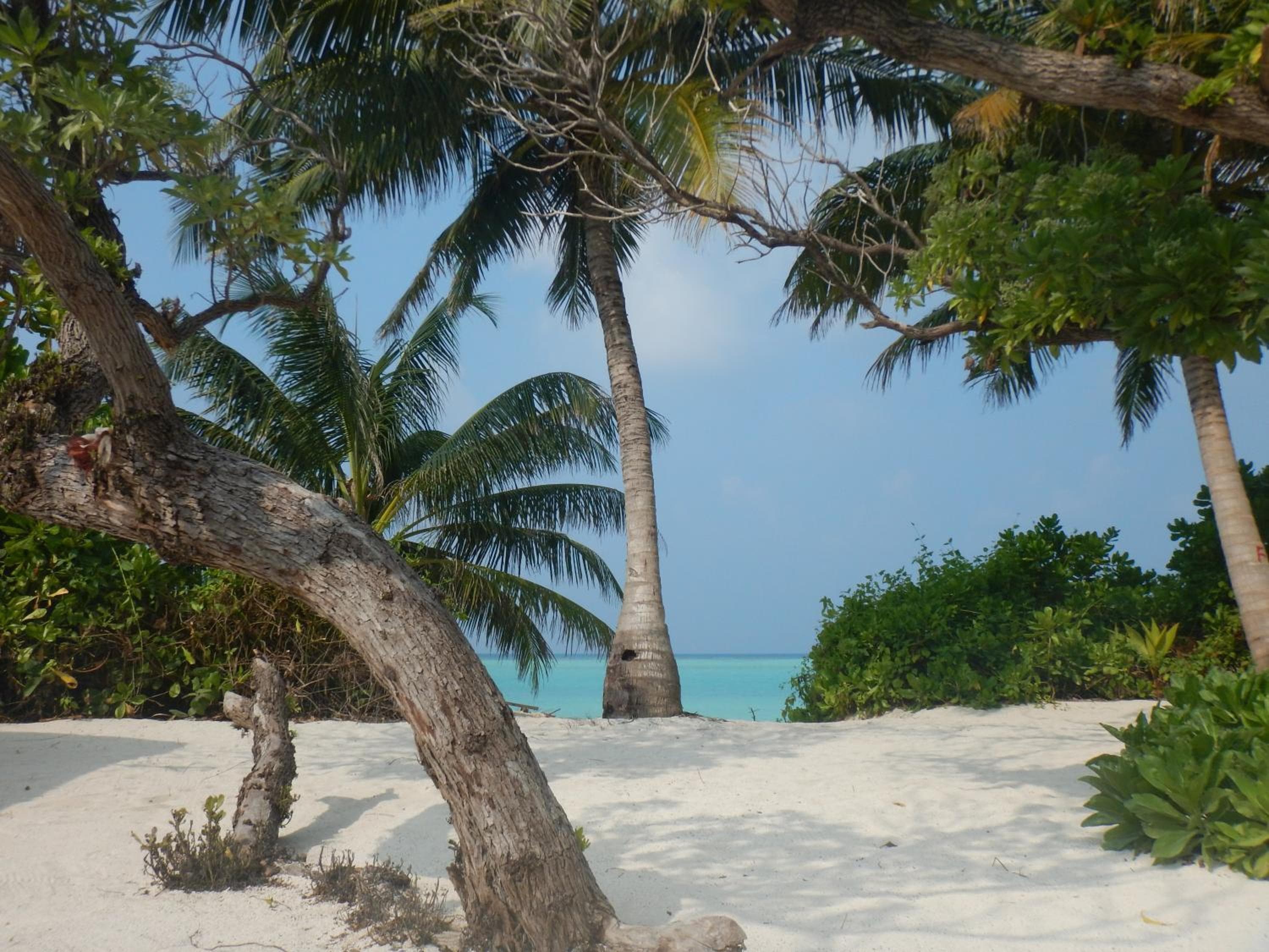 Lagoon Villa Maldives - View 65