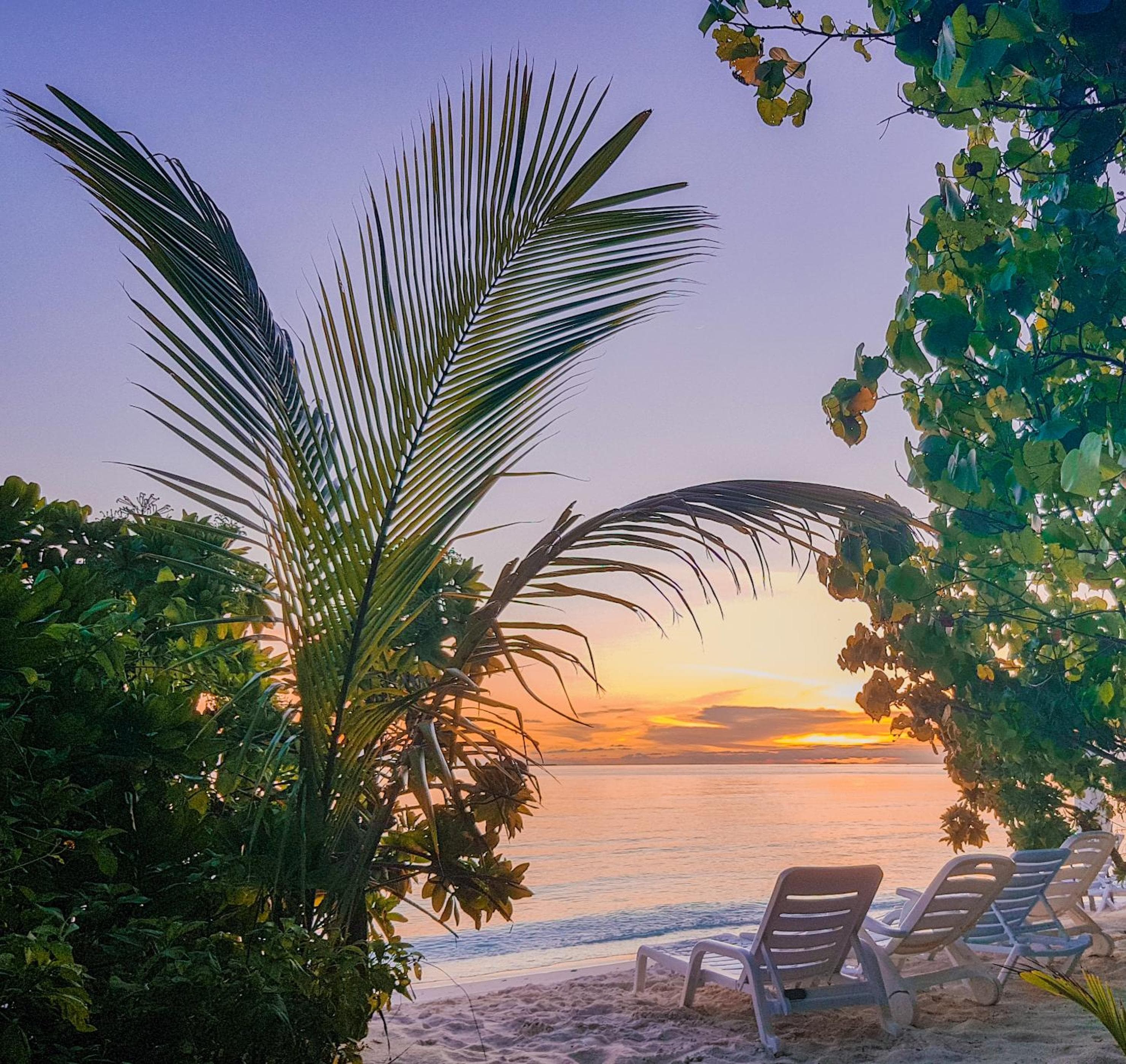 West Sands - View 104