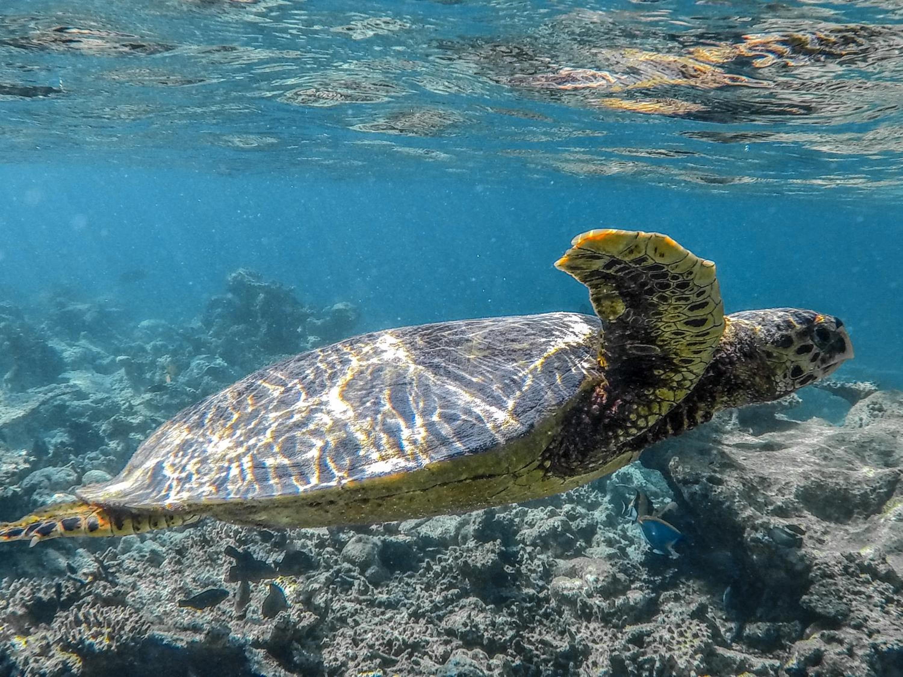 West Sands - View 67