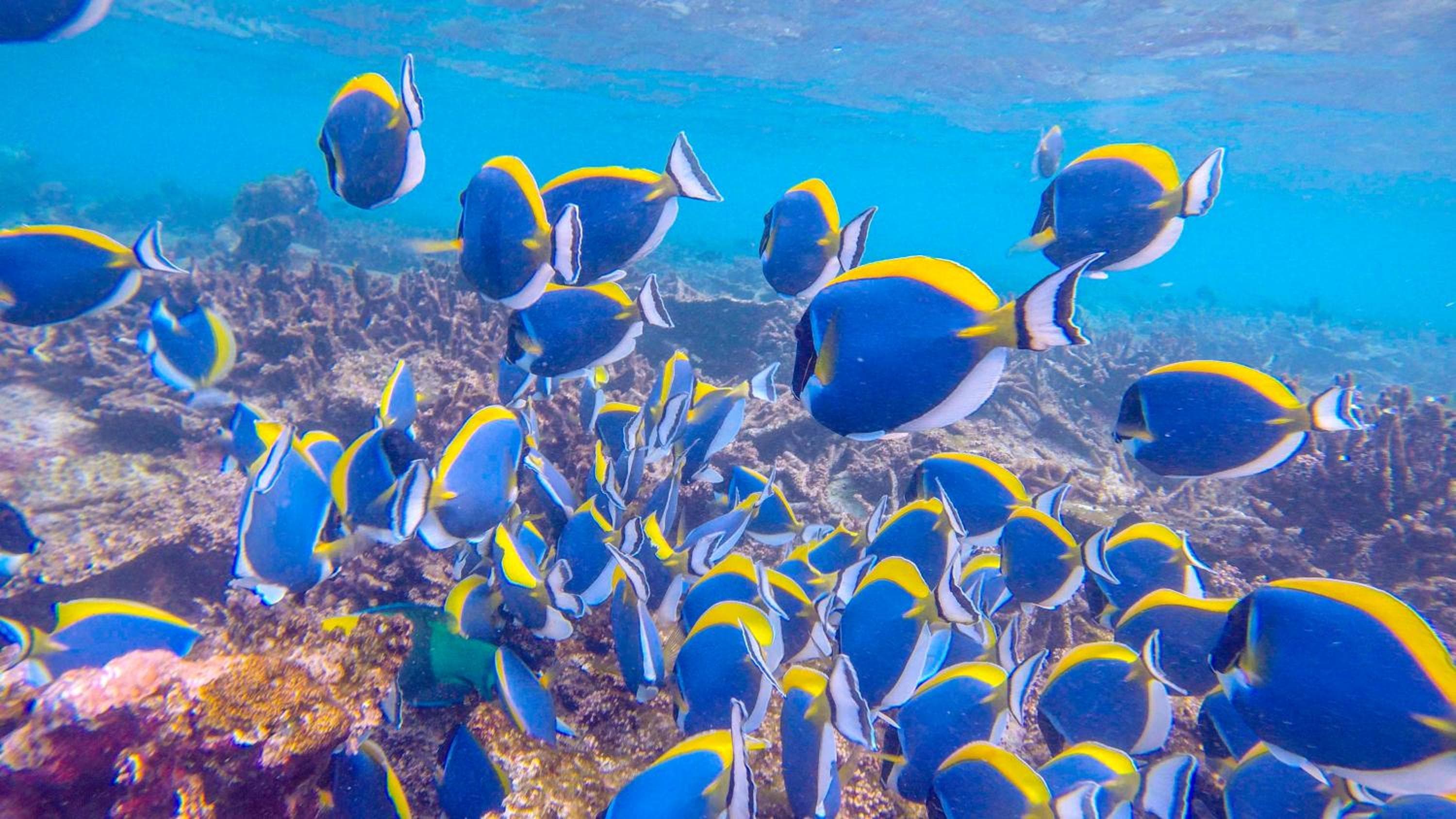 West Sands - View 66