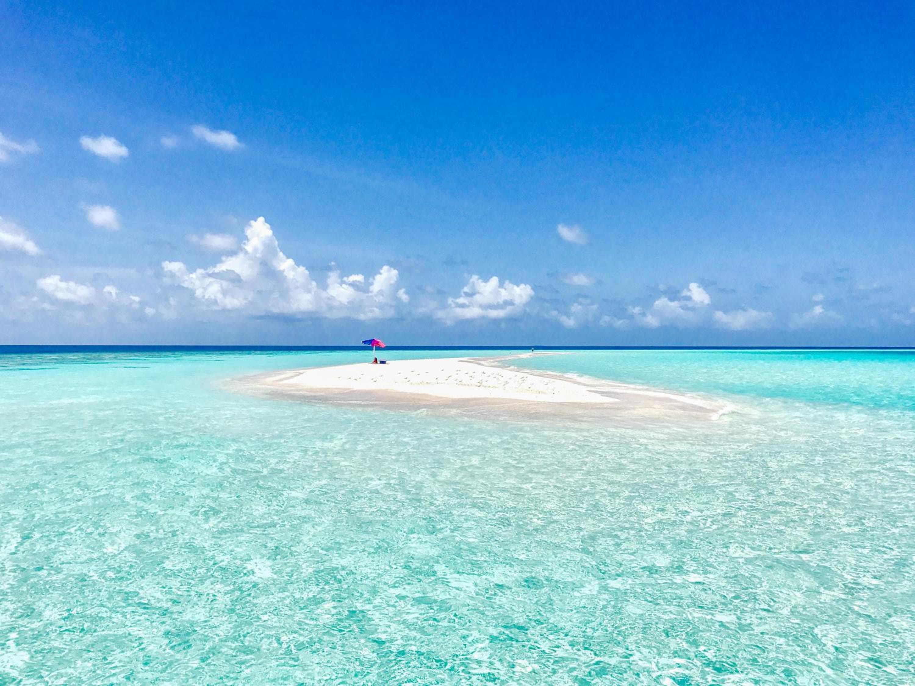 West Sands - View 77