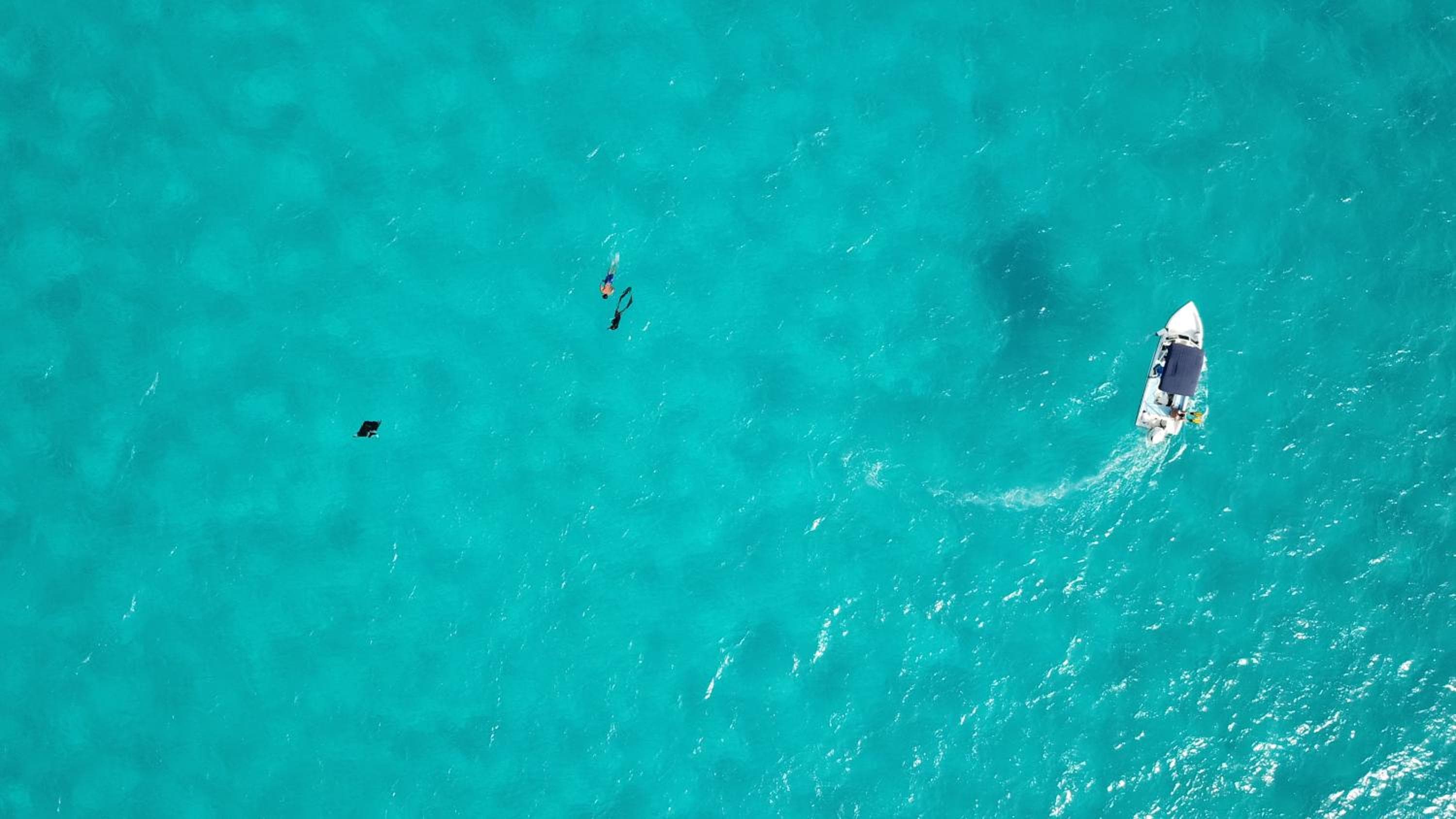 West Sands - View 76