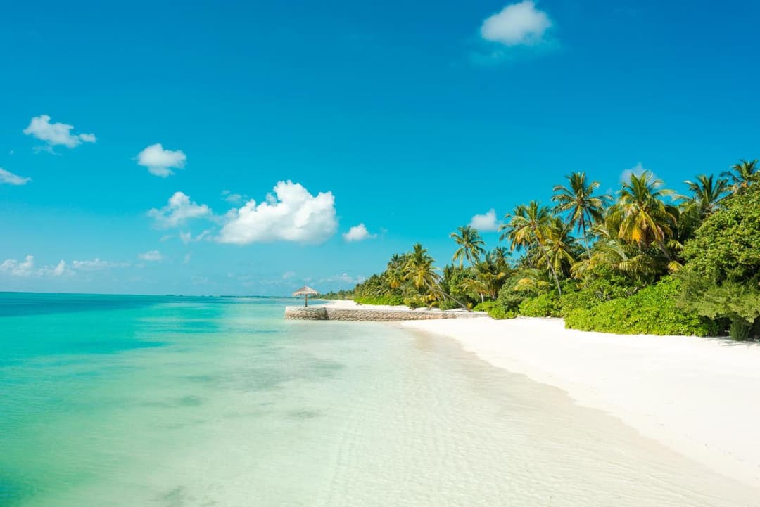 Canareef Resort Maldives - View 119