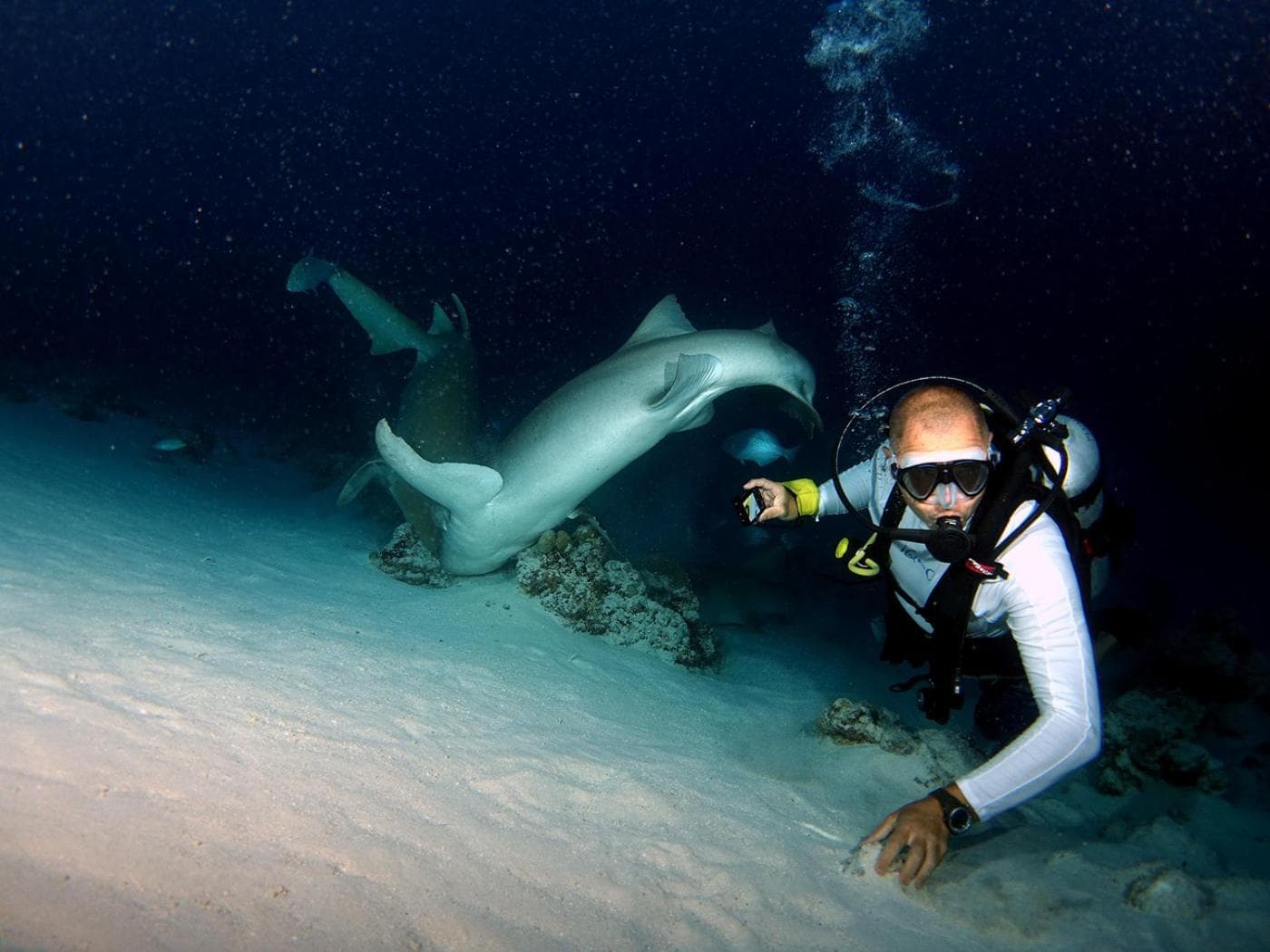 Plumeria Maldives - View 37