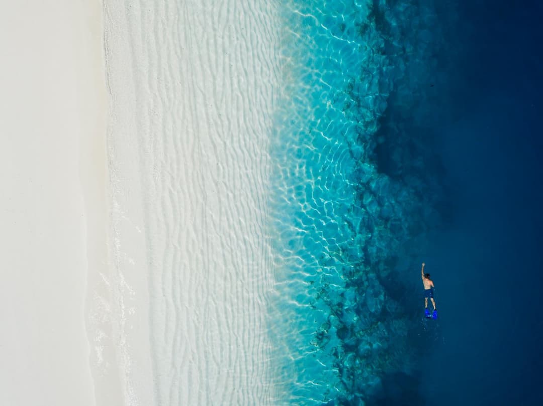 Niva Dhigali Maldives - A Premium All-Inclusive Resort - View 109