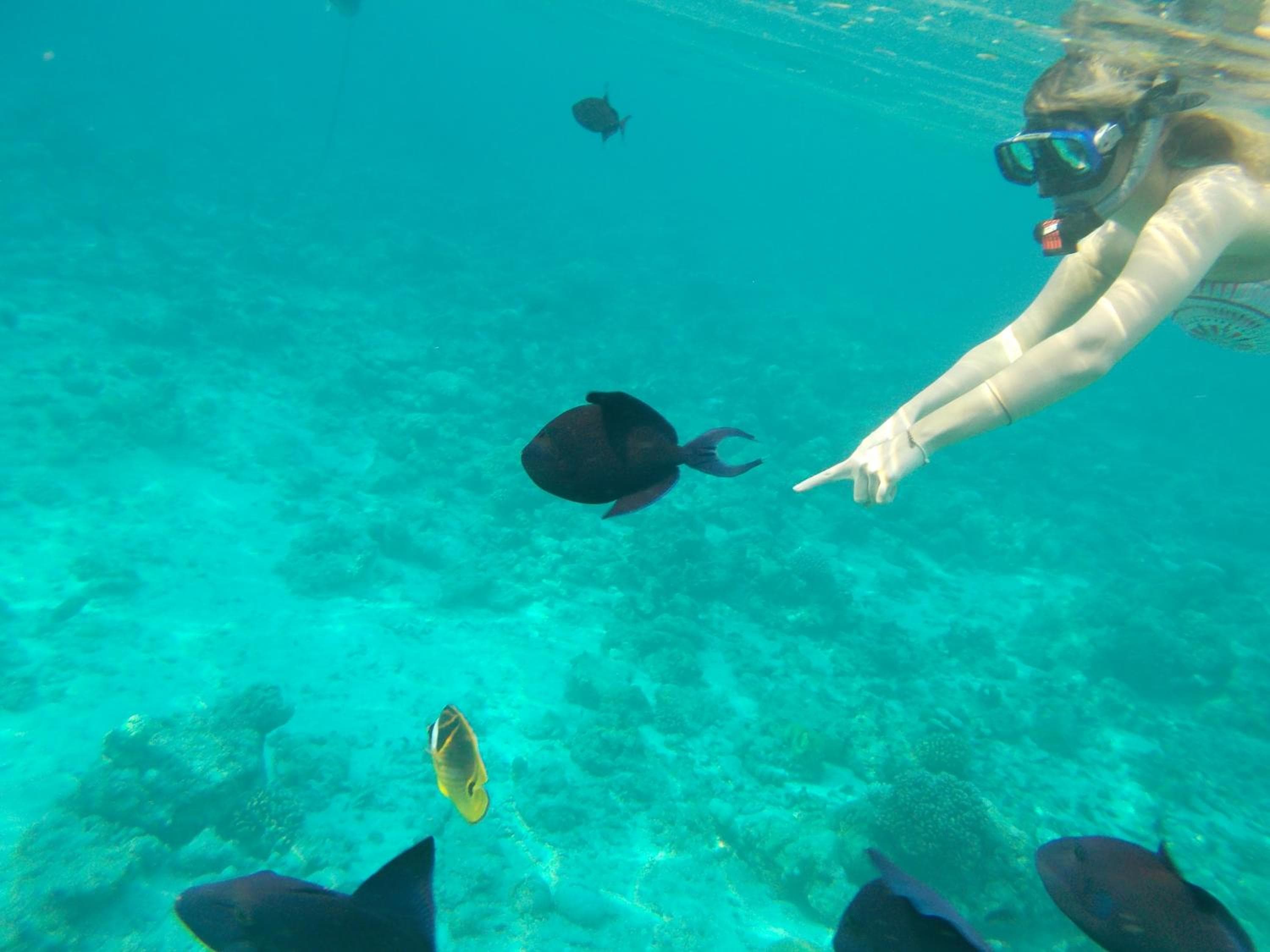 Nala Veli Beach & Spa - View 95