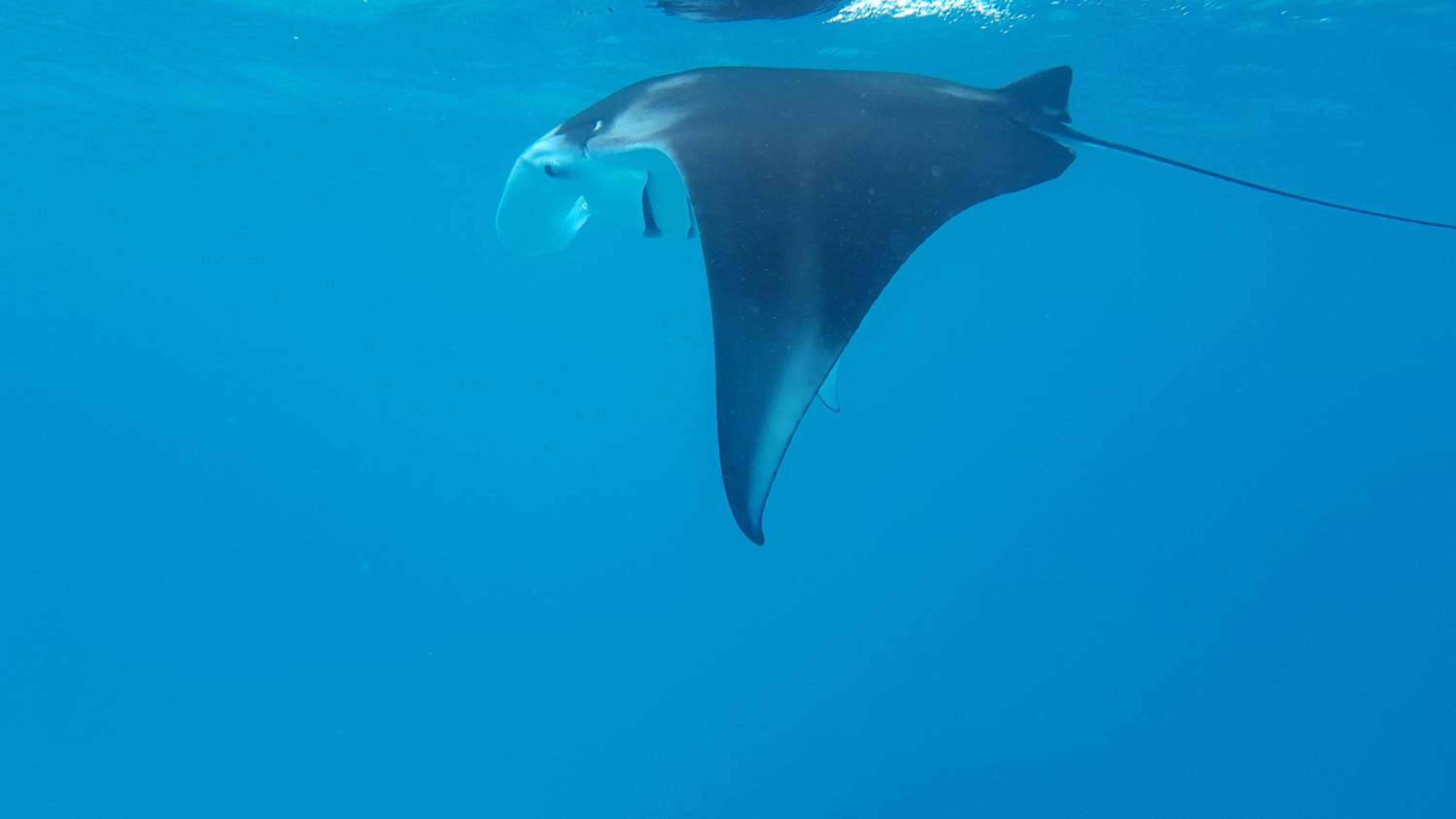 Paguro Villa - View 43