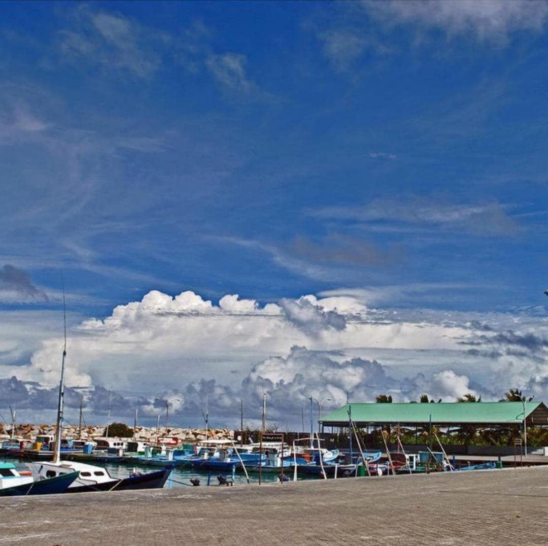 Tiger Shark Residence & Dive - View 29