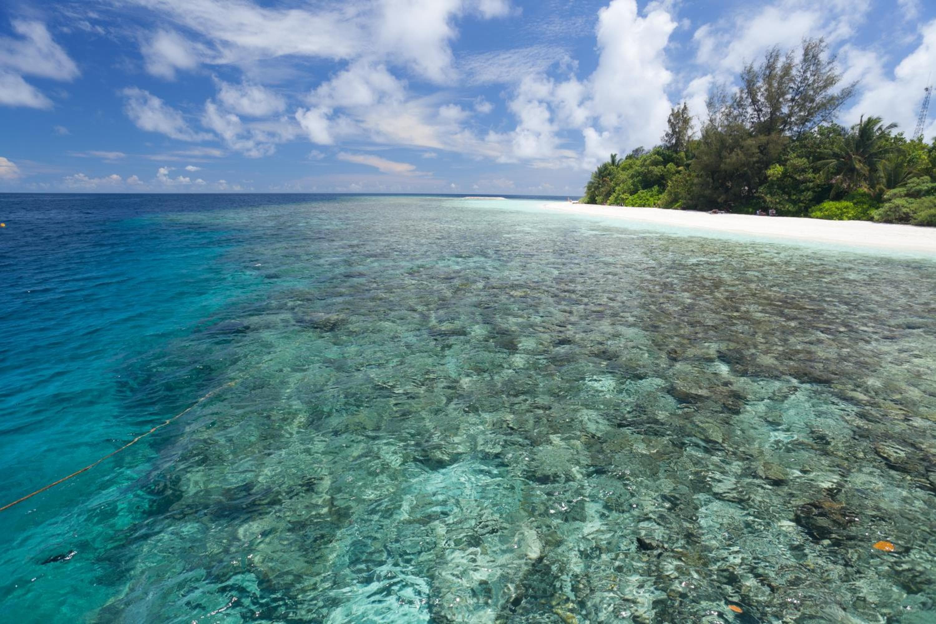 Sandies Bathala - View 31