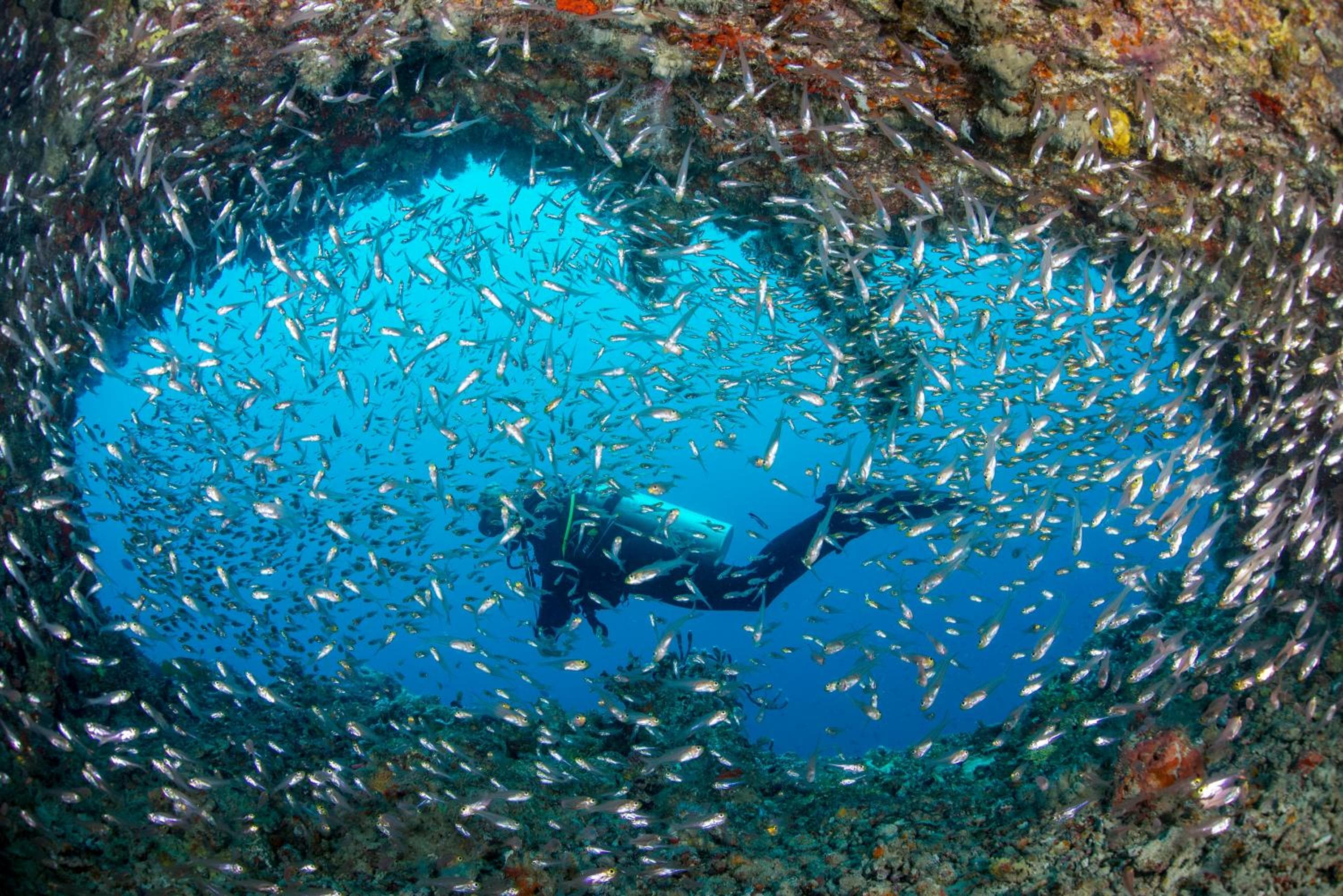 Sandies Bathala - View 17