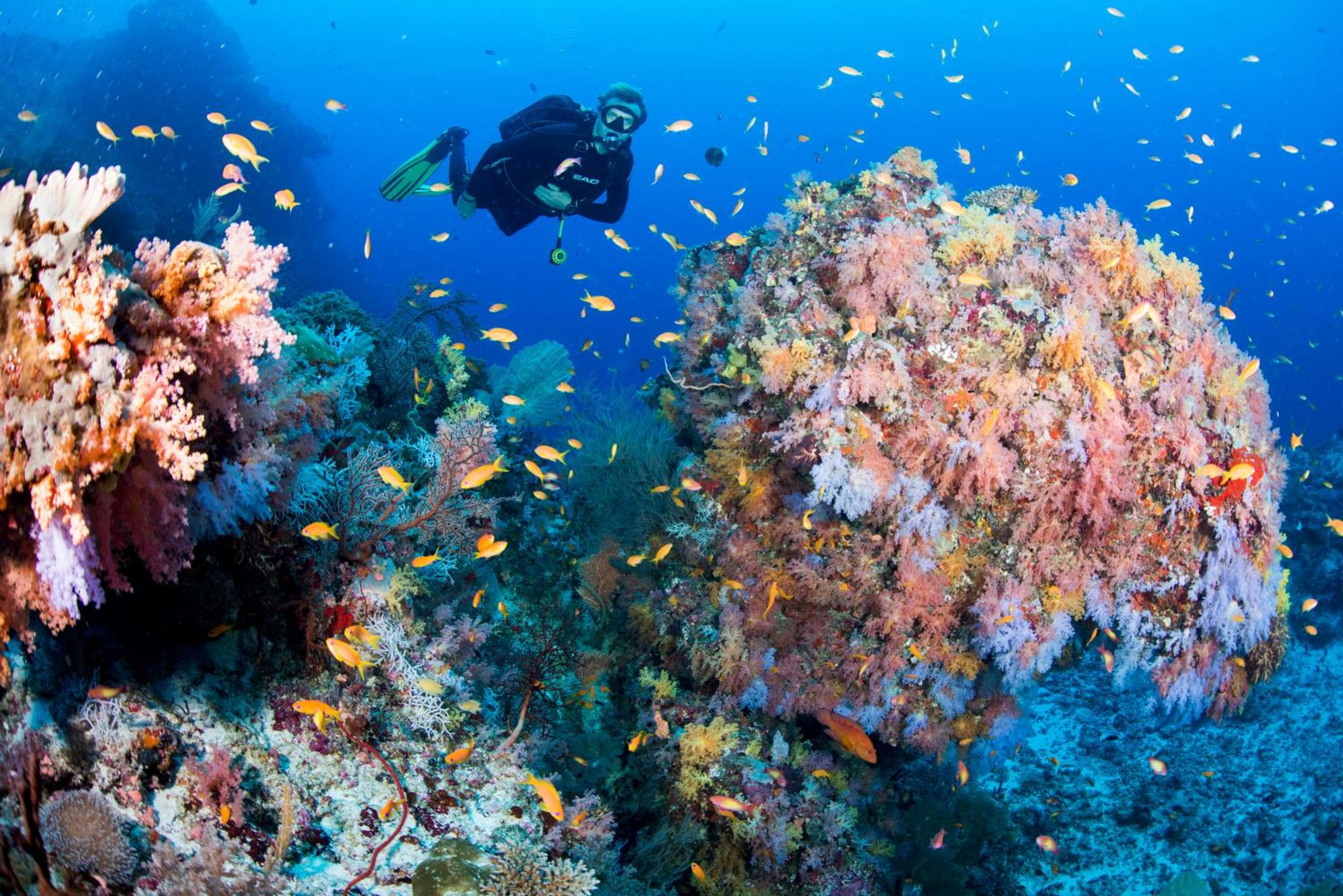 Sandies Bathala - View 16