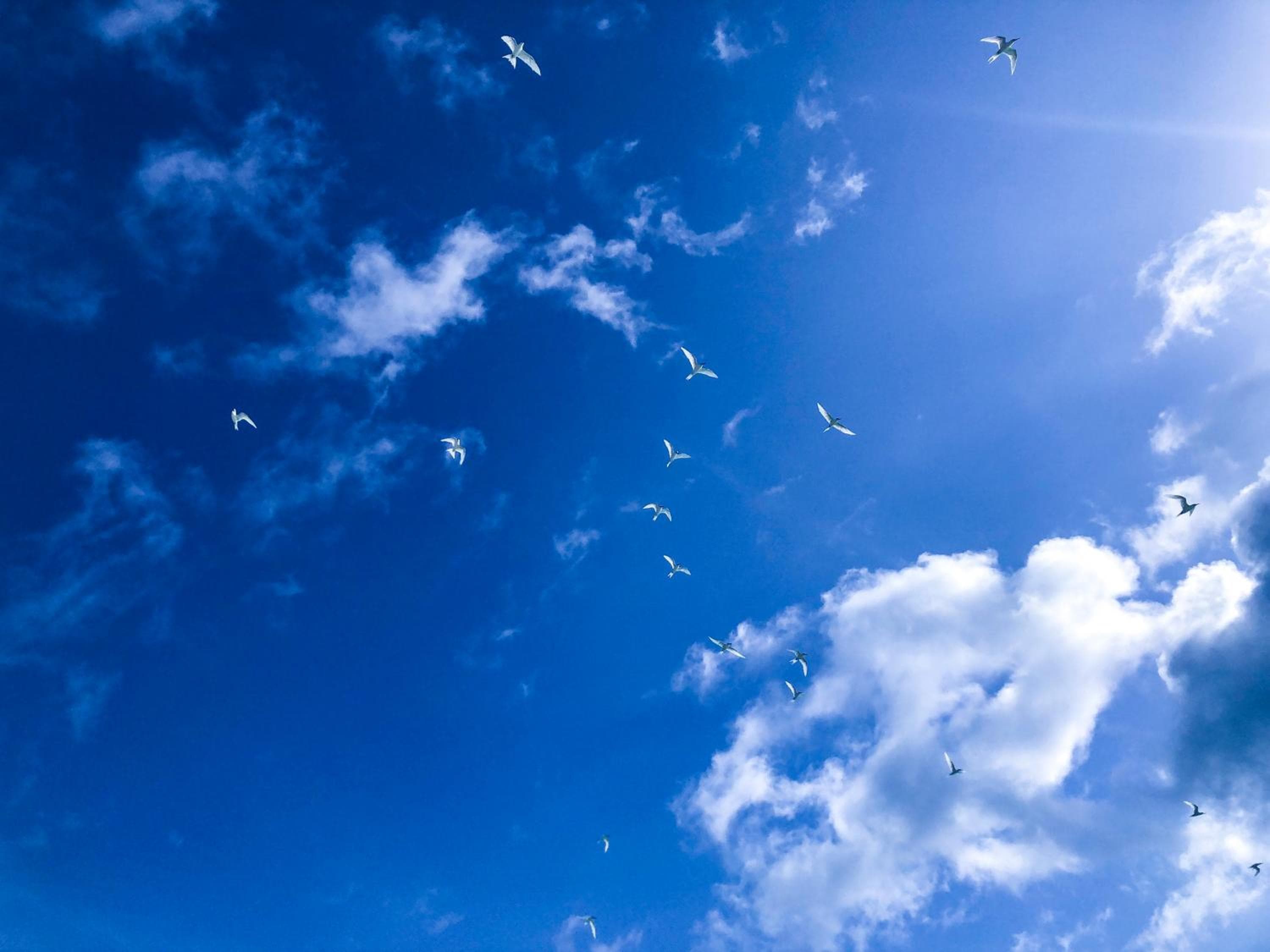 Mariana Maldives - View 53