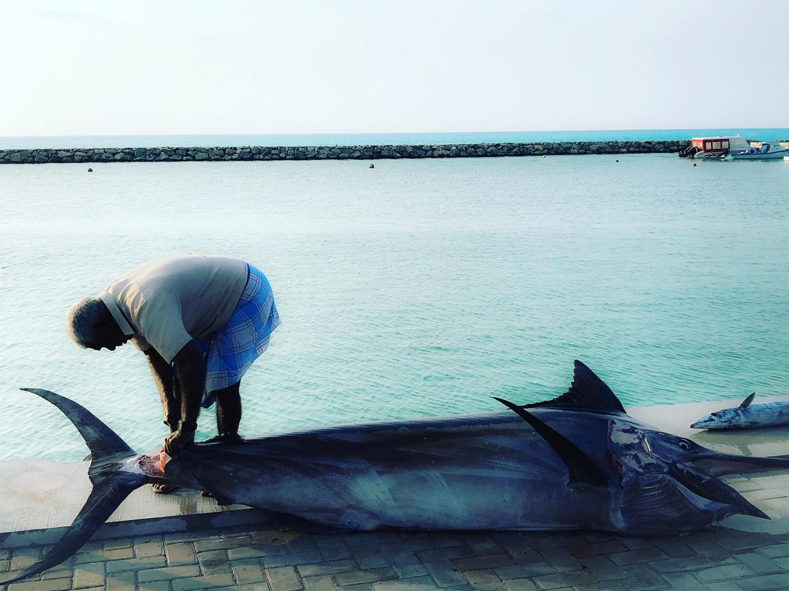 Mariana Maldives - View 48