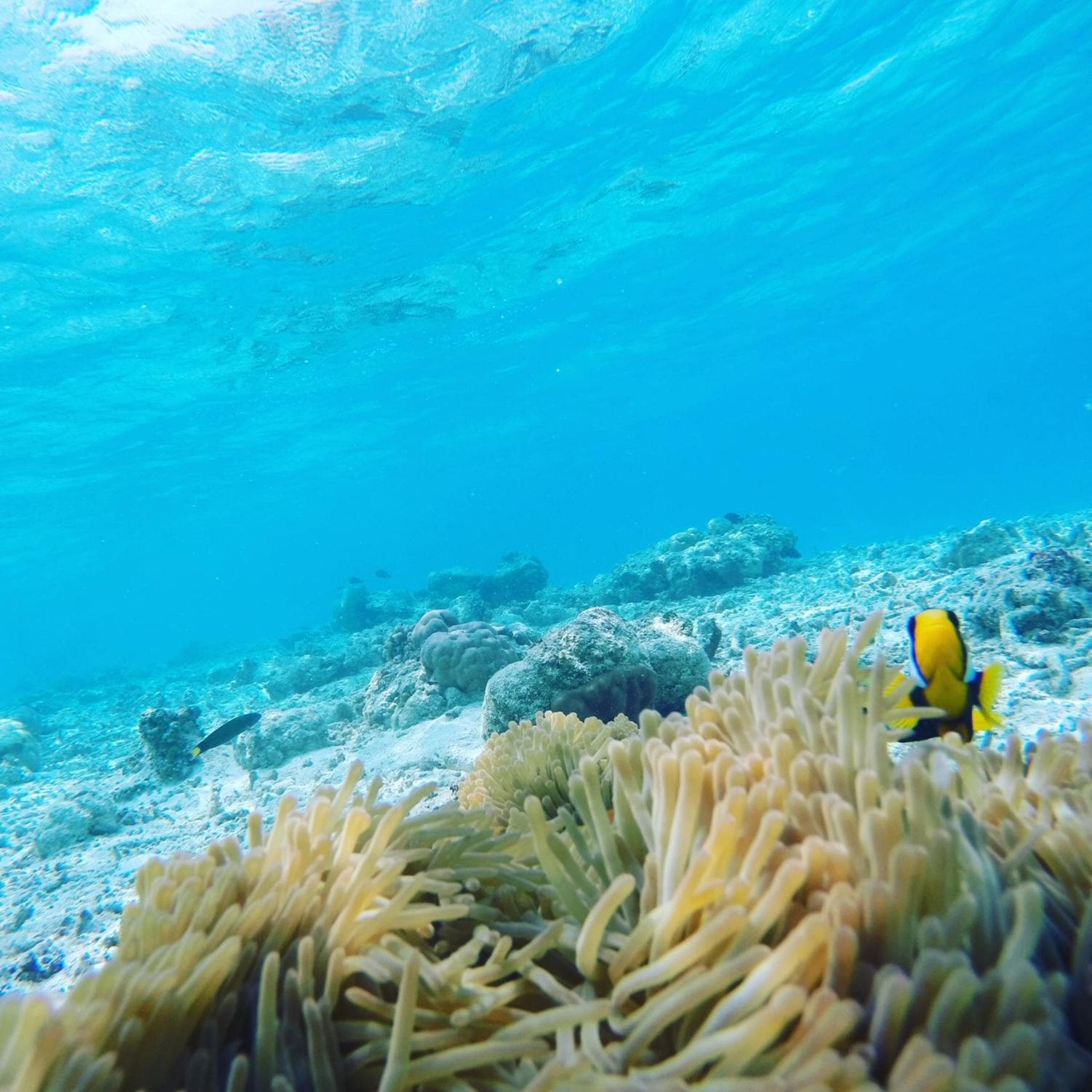 Mariana Maldives - View 47