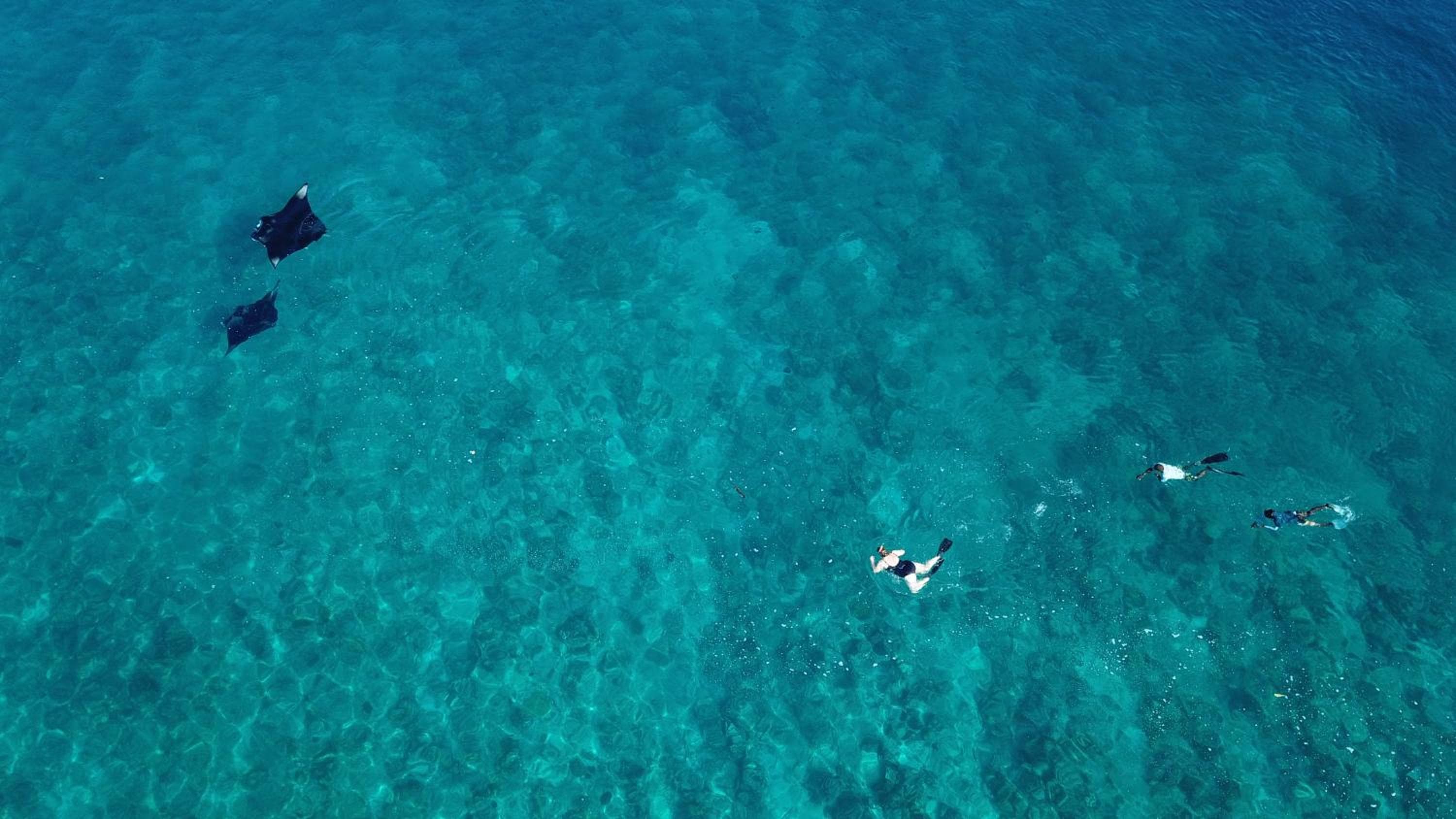 SeaLaVie Inn - View 37