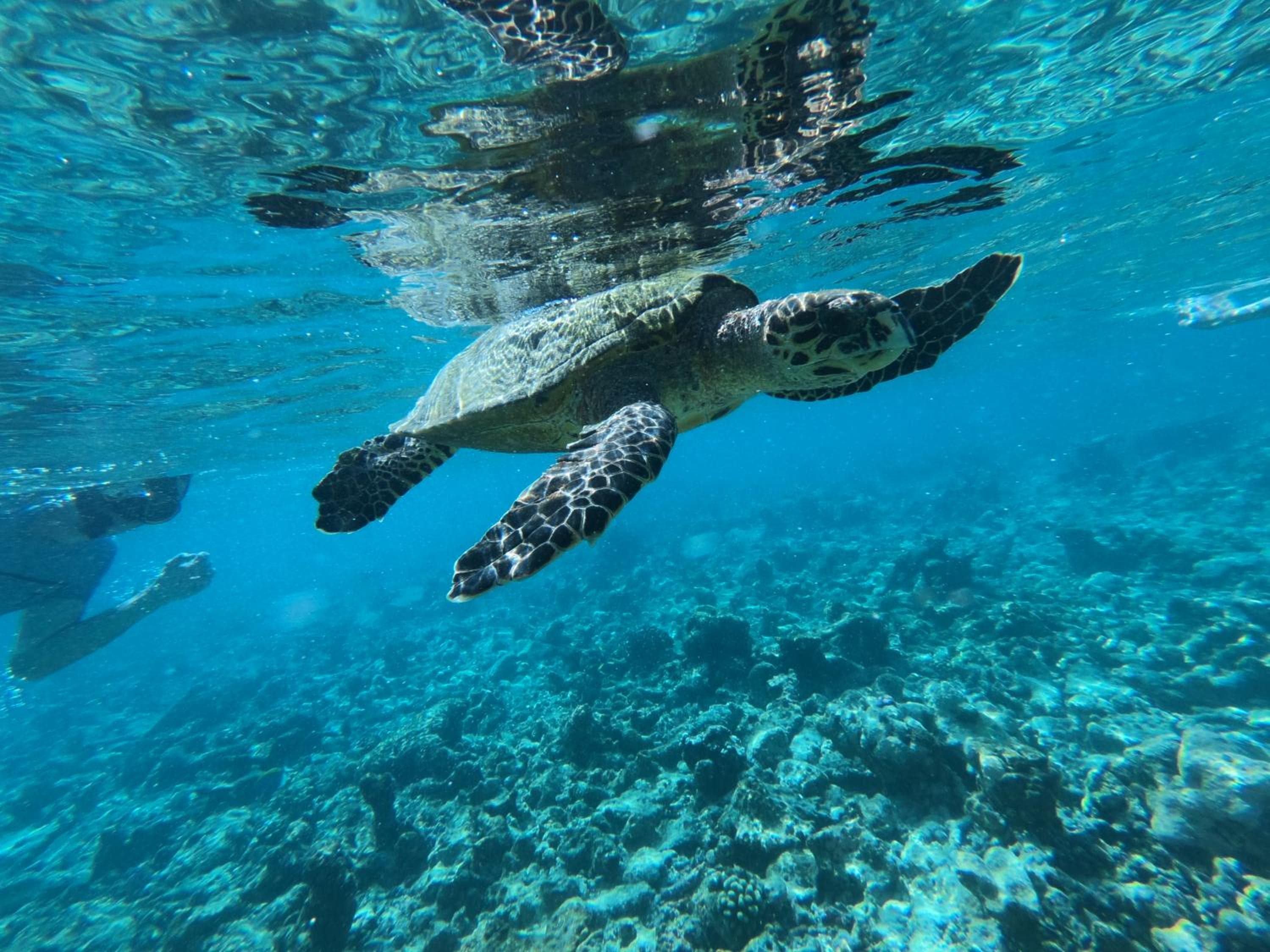 The Sunrise Huraa - View 73