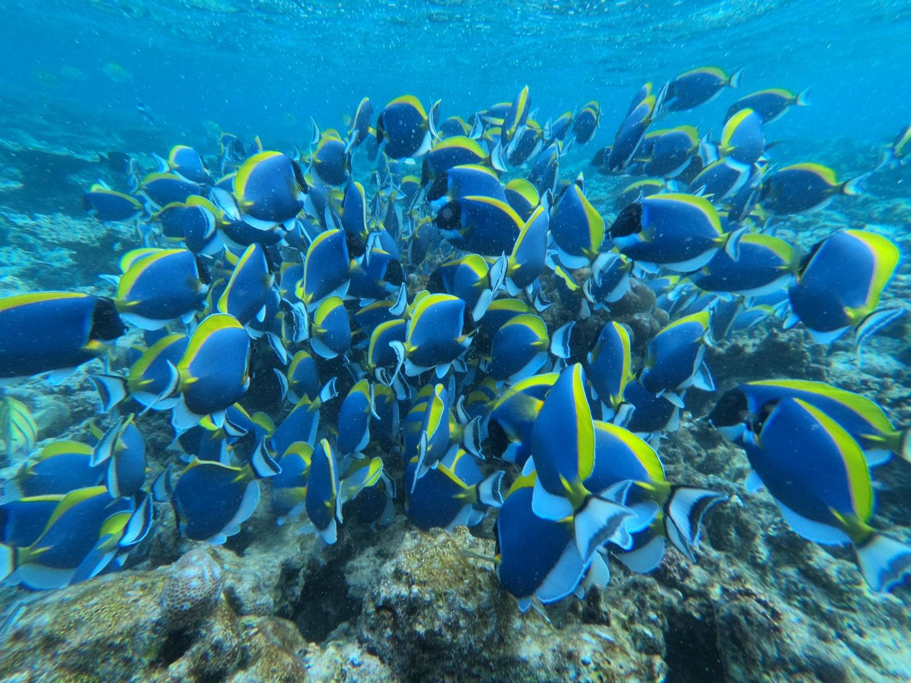 The Sunrise Huraa - View 82