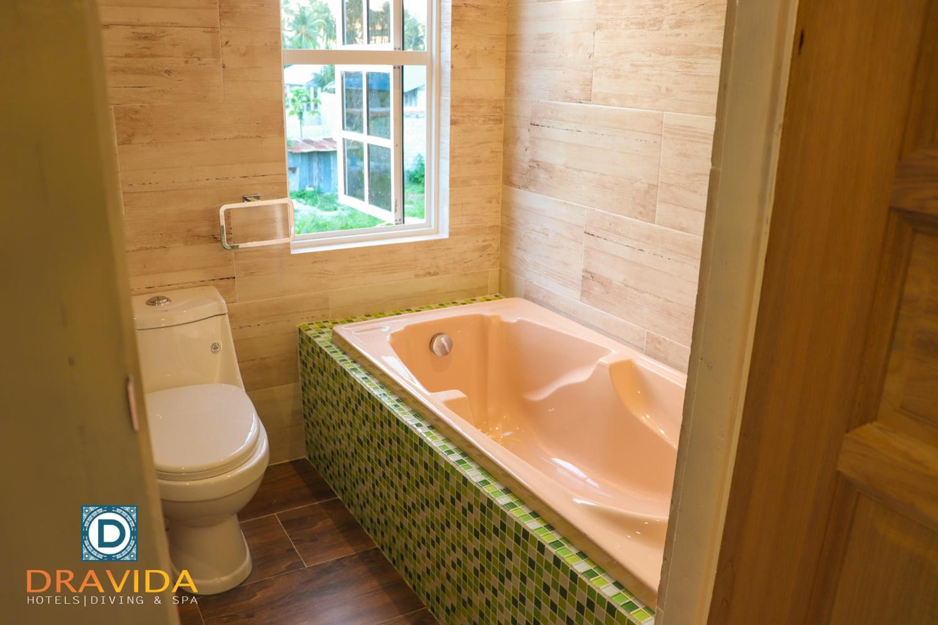 Dravida Hotel - View 60