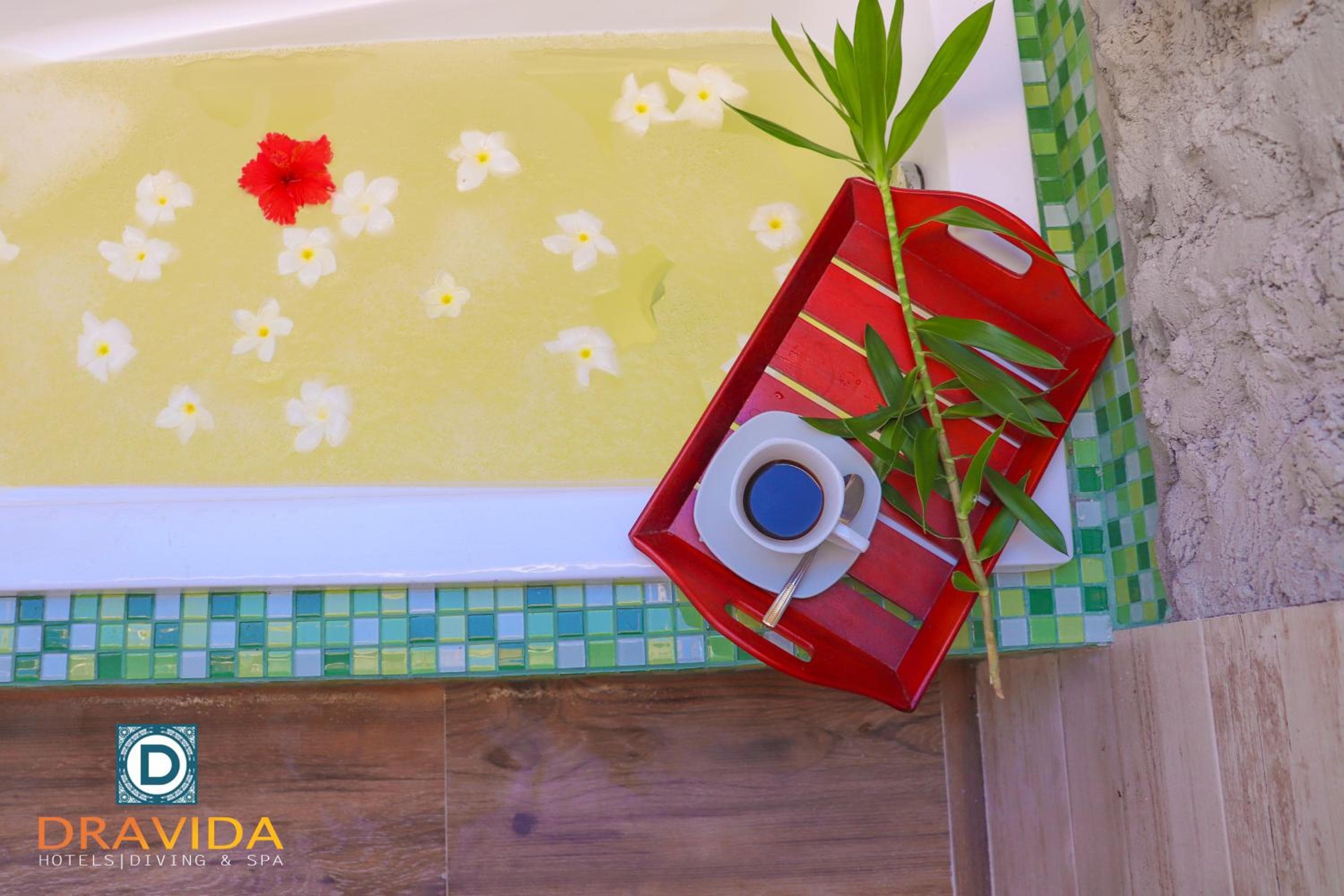 Dravida Hotel - View 54