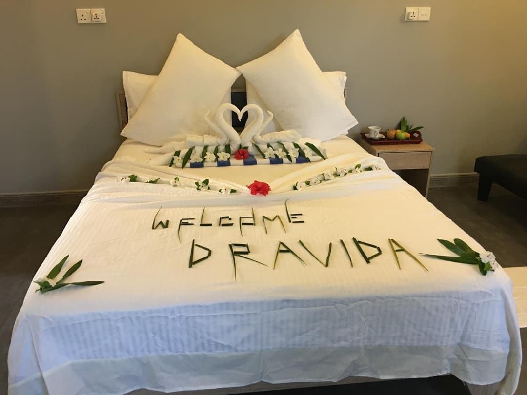Dravida Hotel - View 29