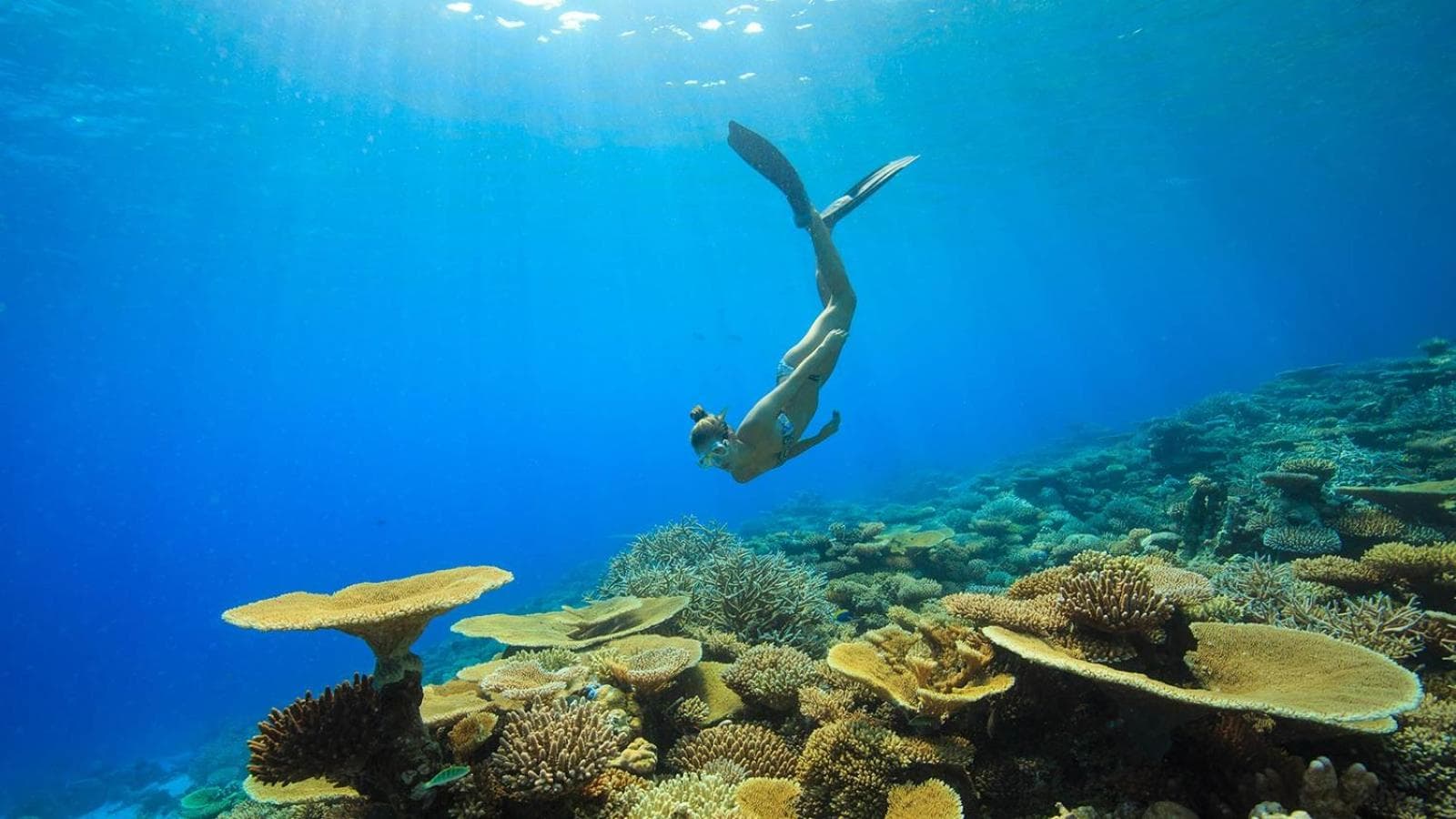 Huvan Beach Hotel at Hulhumale - View 37