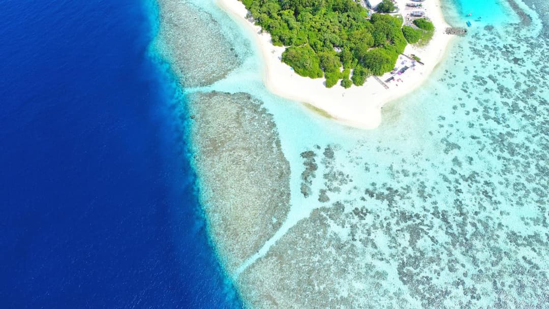 By the shade Maldives - View 66