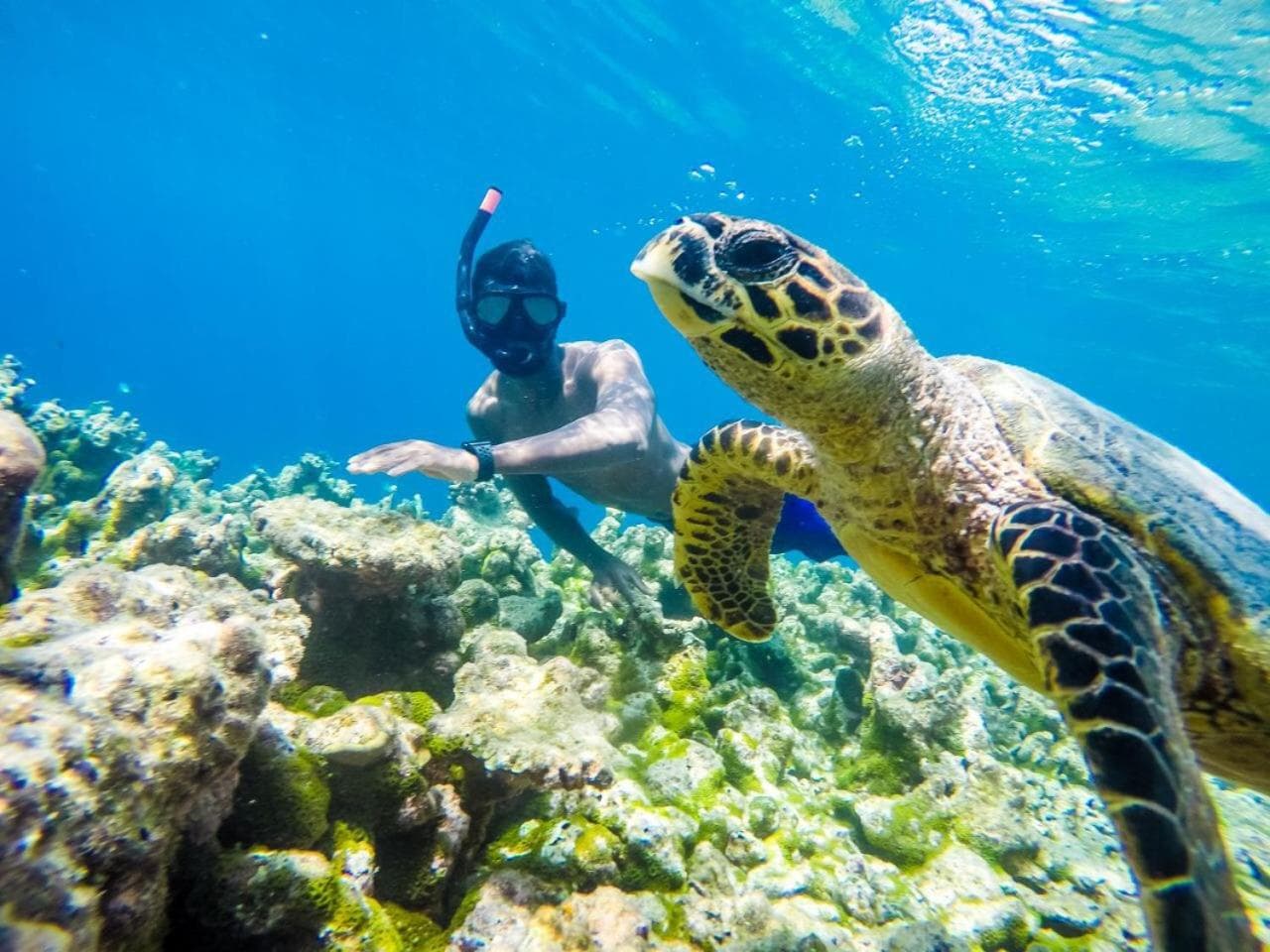 Old Town Inn Maldives - View 29