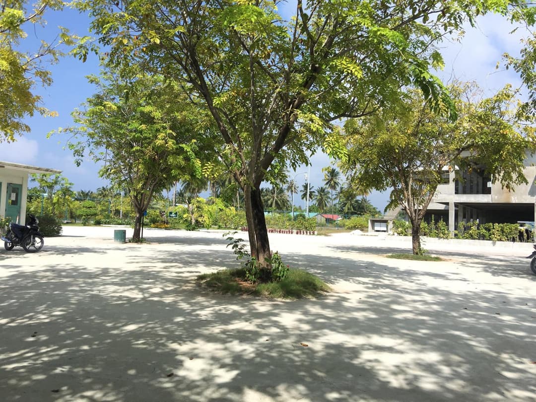 Koimala Hotel - View 60