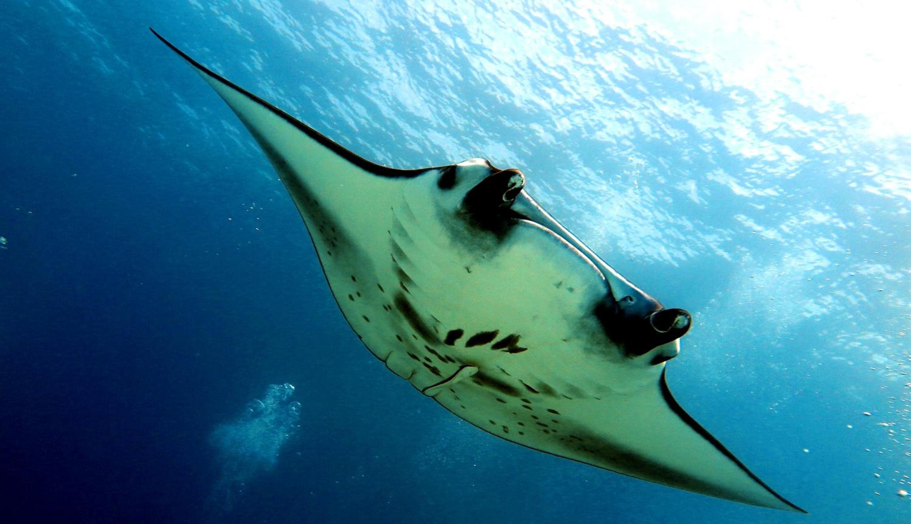 Beach Cottage - View 90