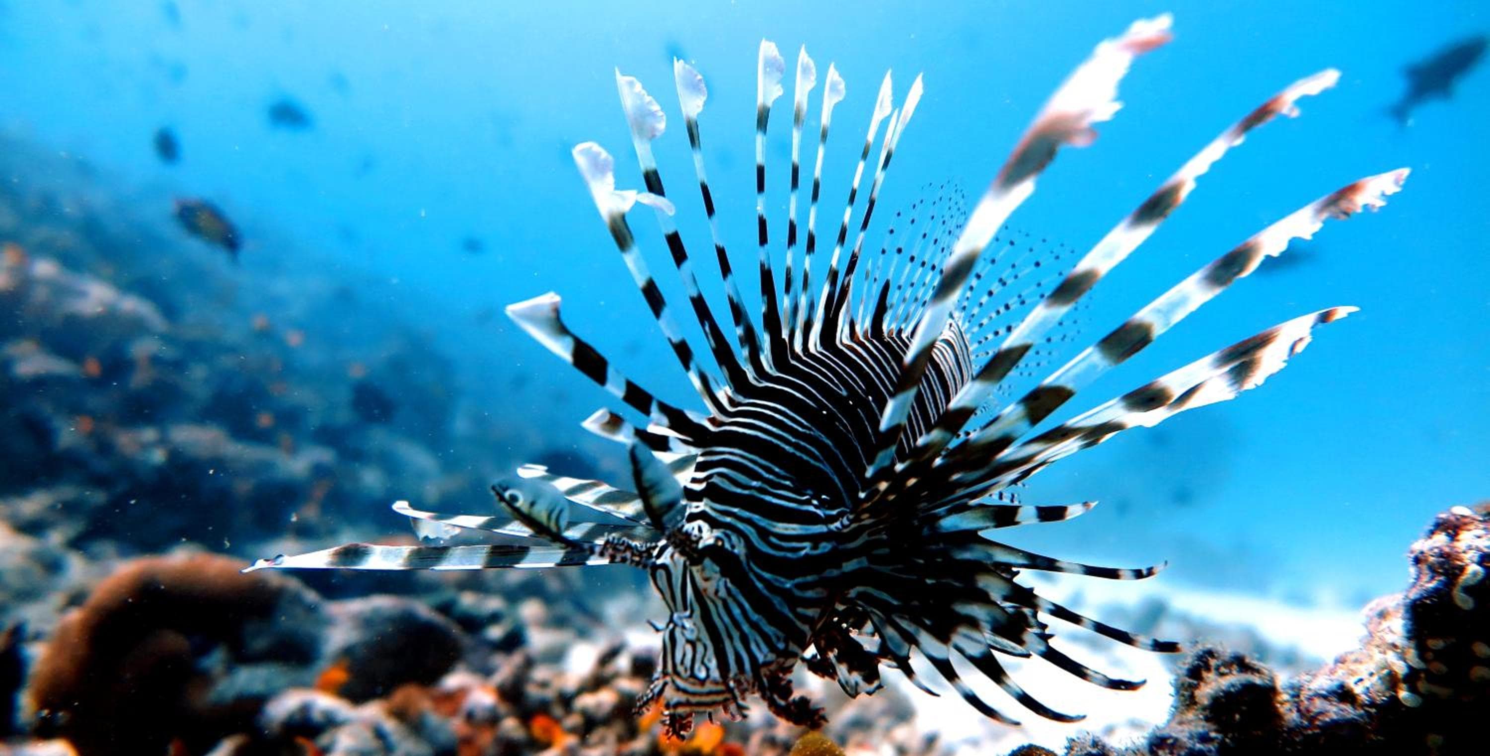 Beach Cottage - View 64