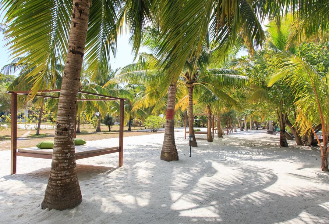 Equator Village Maldives - View 74