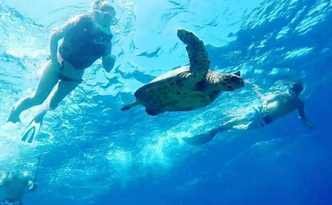 Ras Rana Lodge - View 115