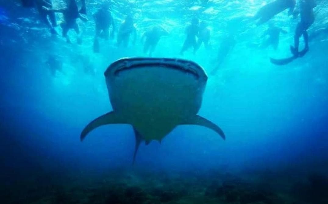 Ras Rana Lodge - View 113