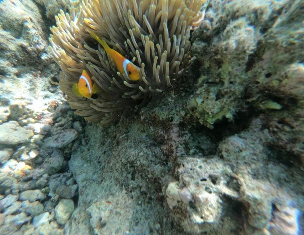 Ras Rana Lodge - View 112