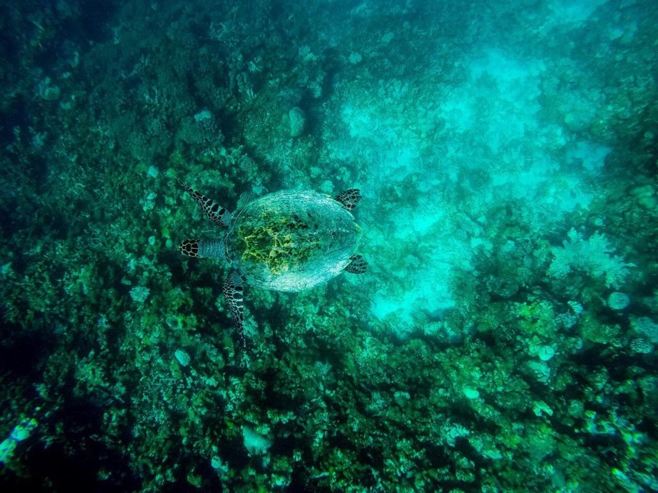 Old Town Inn Maldives - View 27