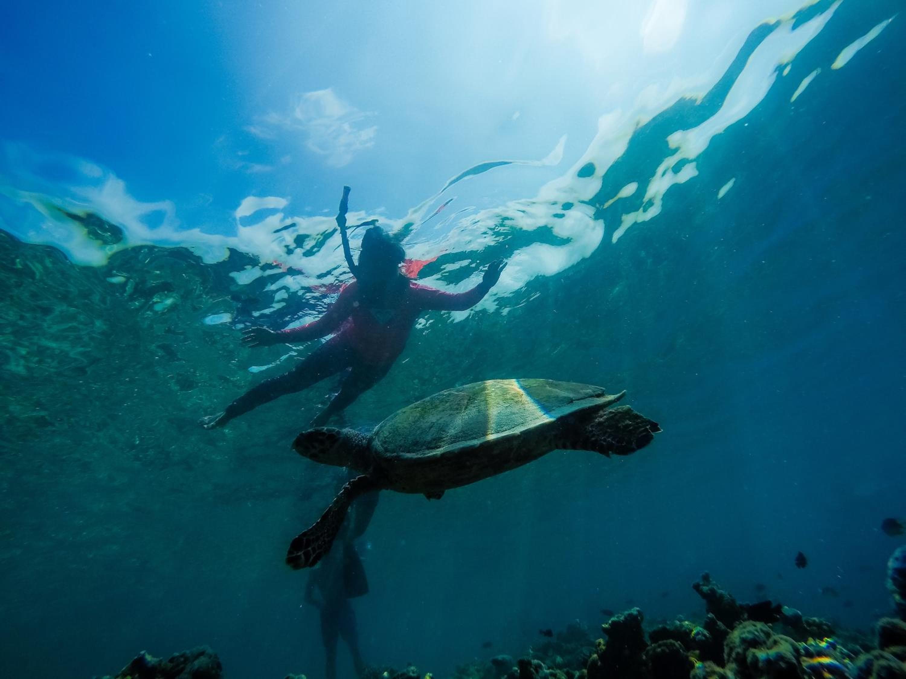 Old Town Inn Maldives - View 26