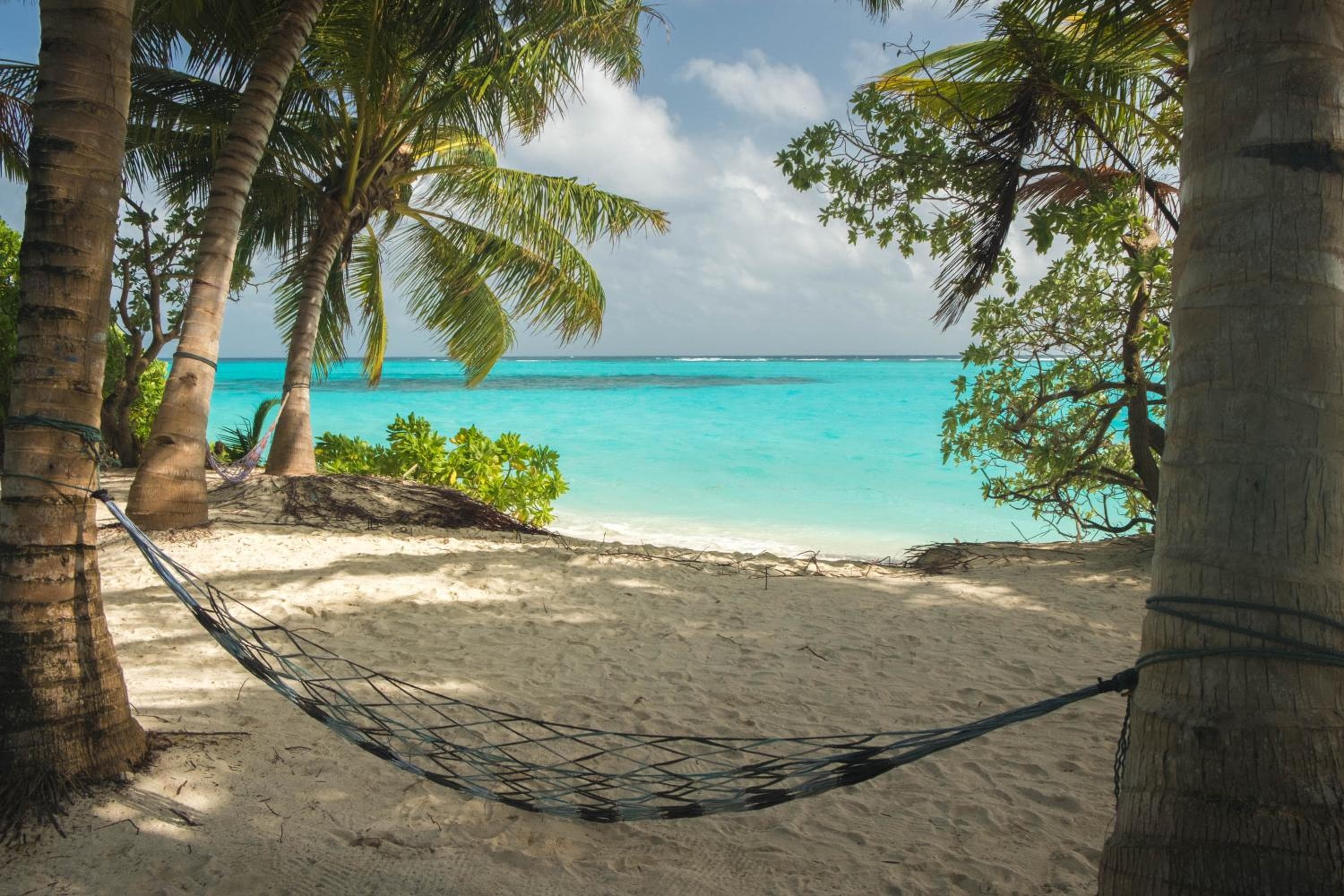 Athiriveli - View 24