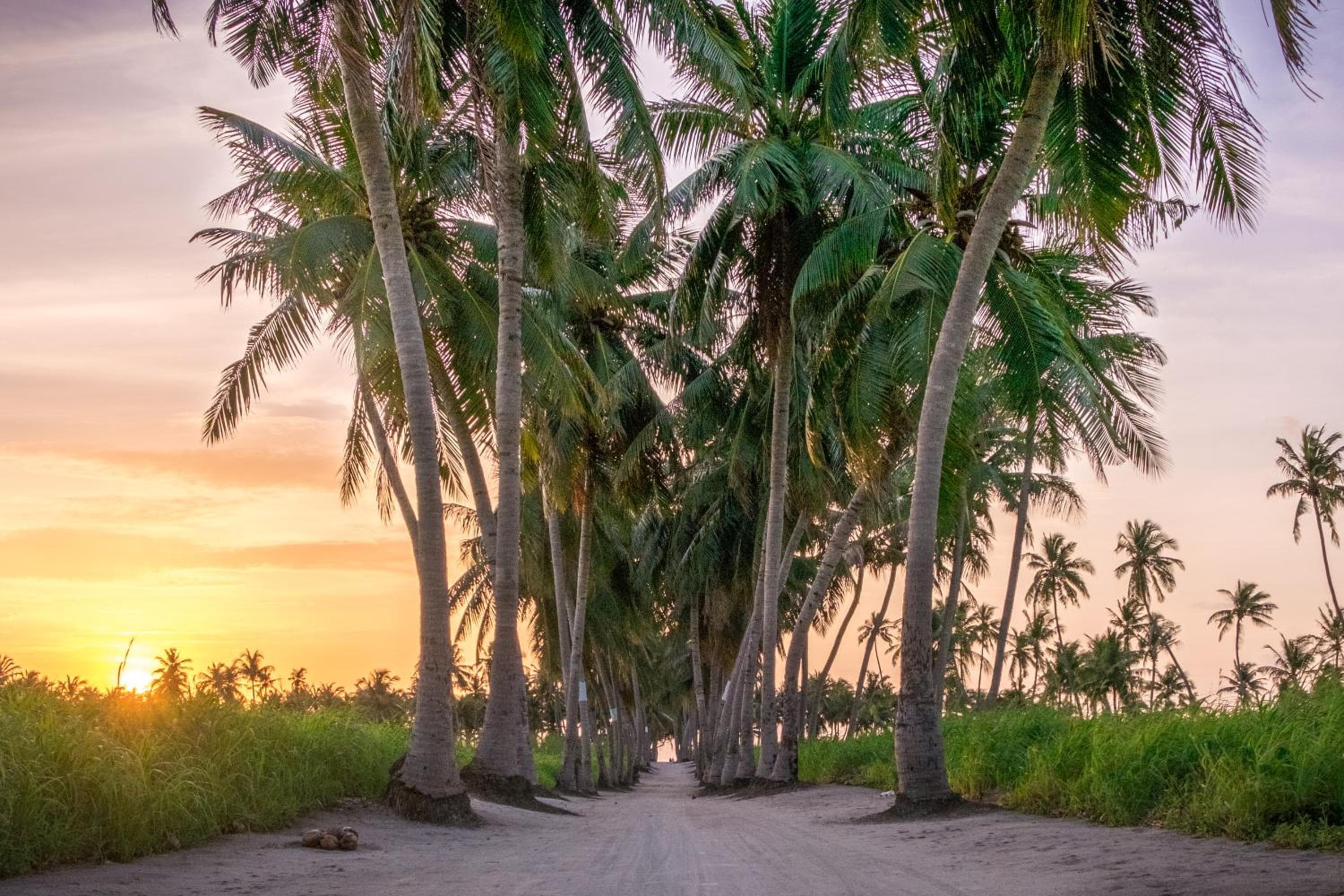 Athiriveli - View 22