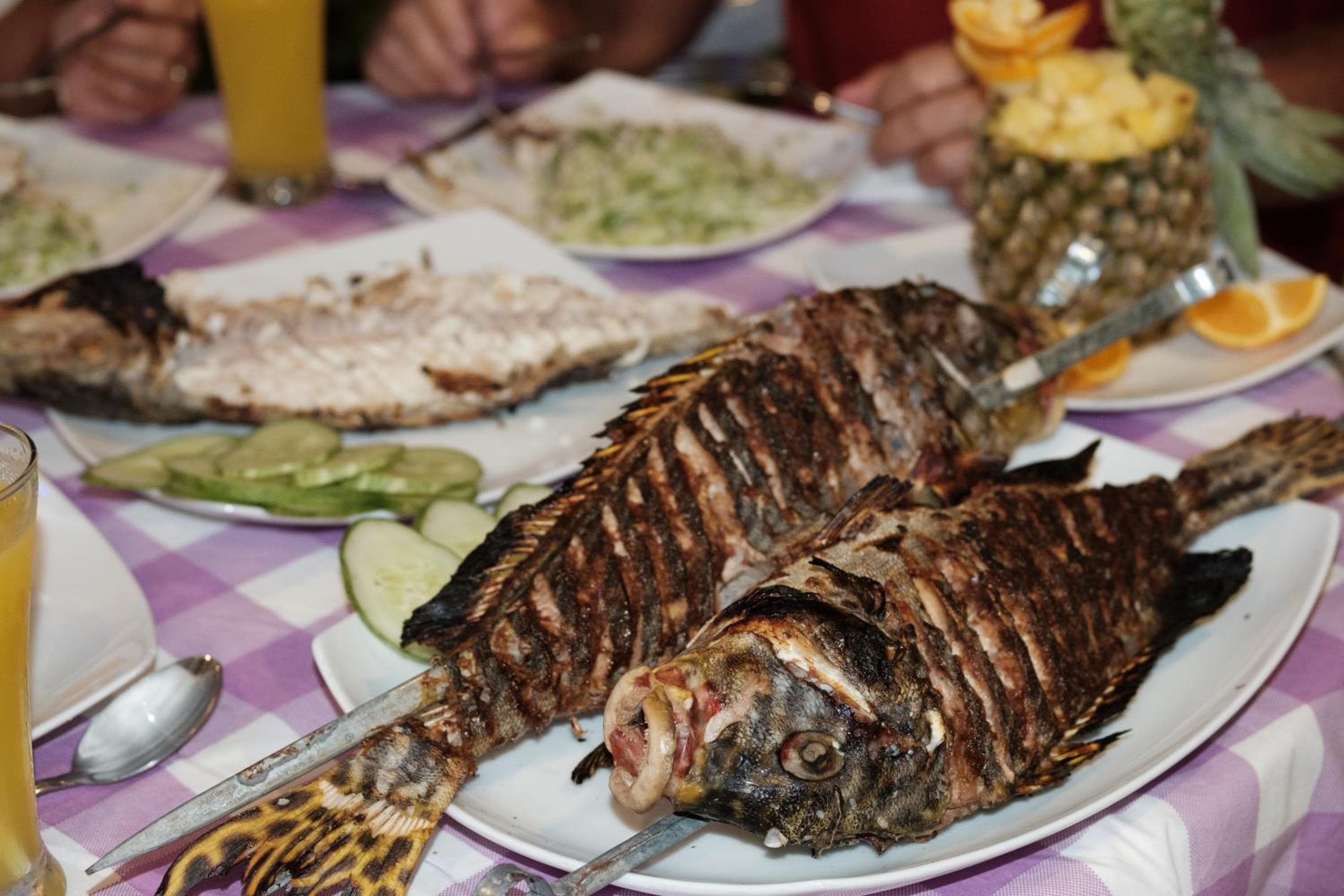 Athiriveli - View 21