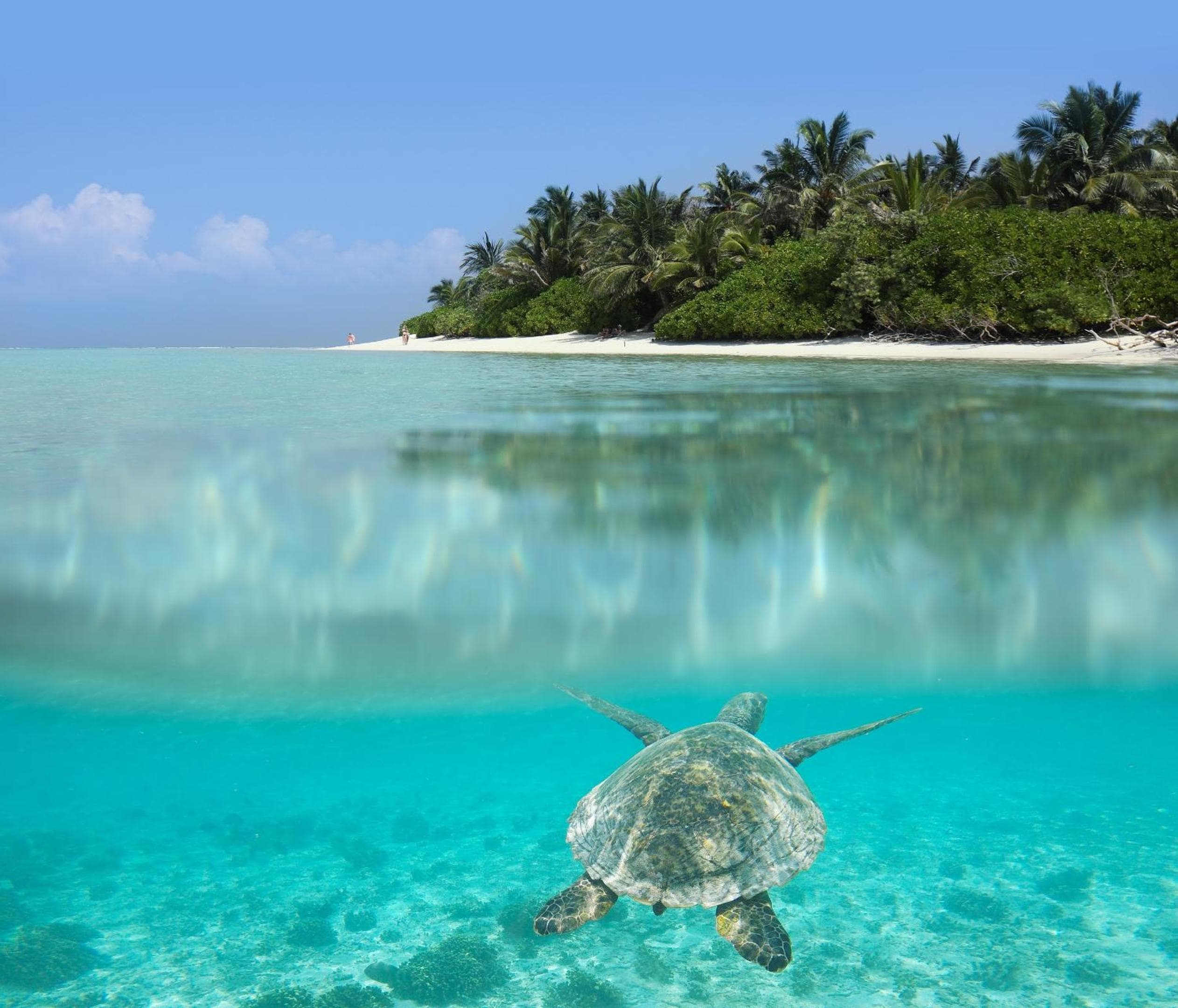 Athiriveli - View 15