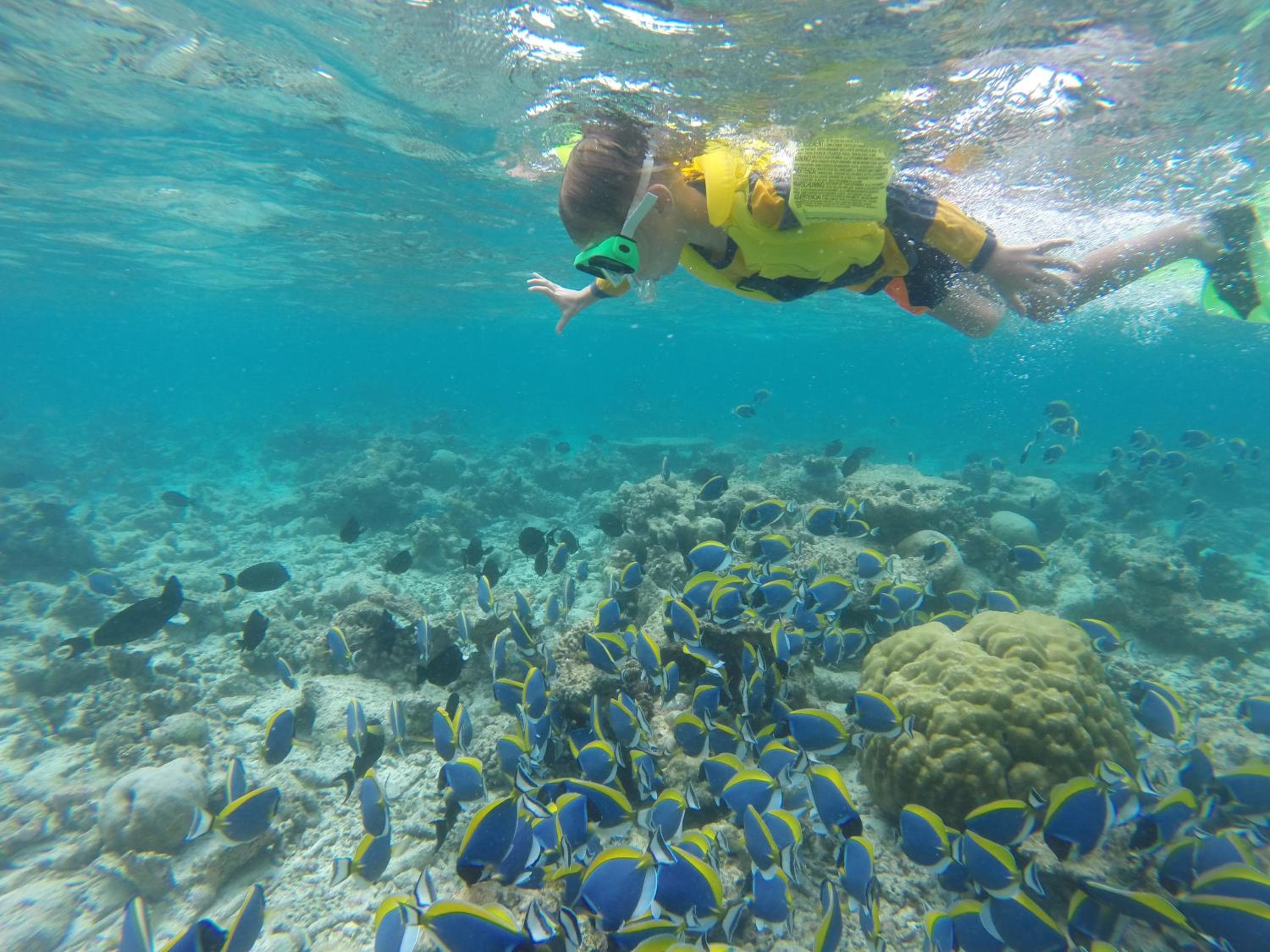 Mariana Maldives - View 35