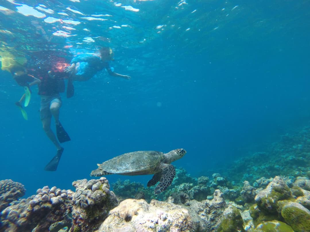 Mariana Maldives - View 53
