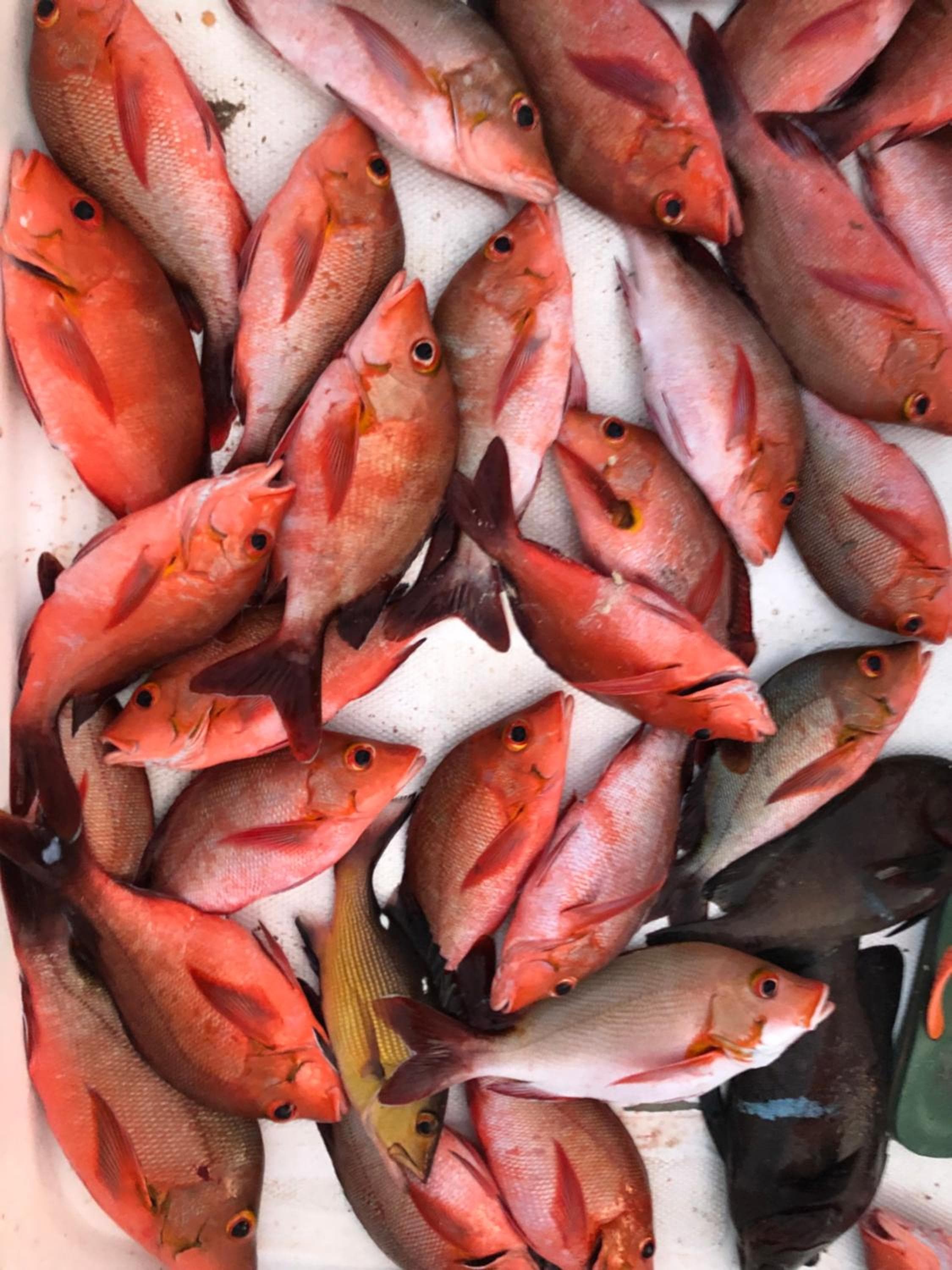 Mariana Maldives - View 38