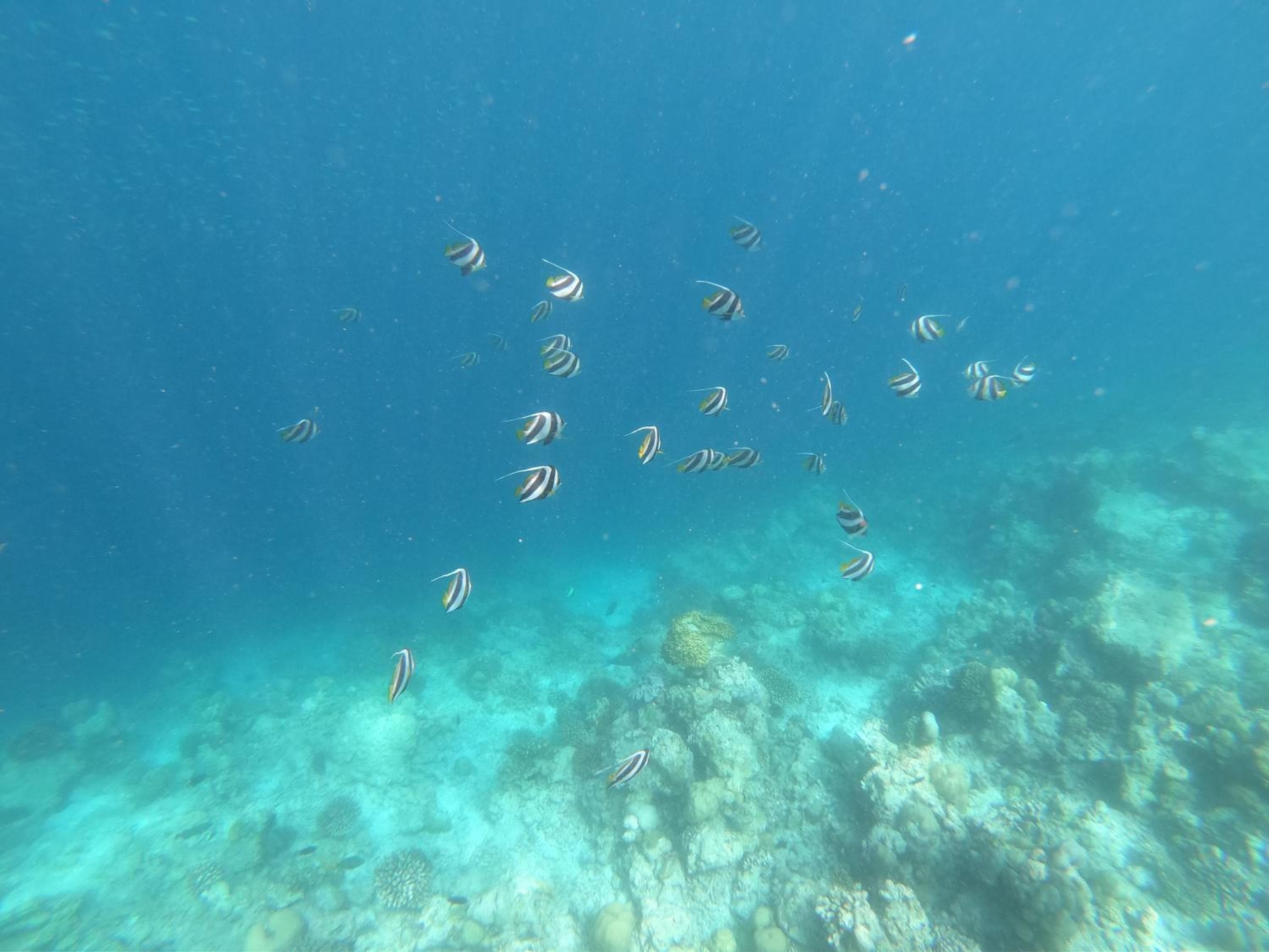 Sevinex Inn - View 53