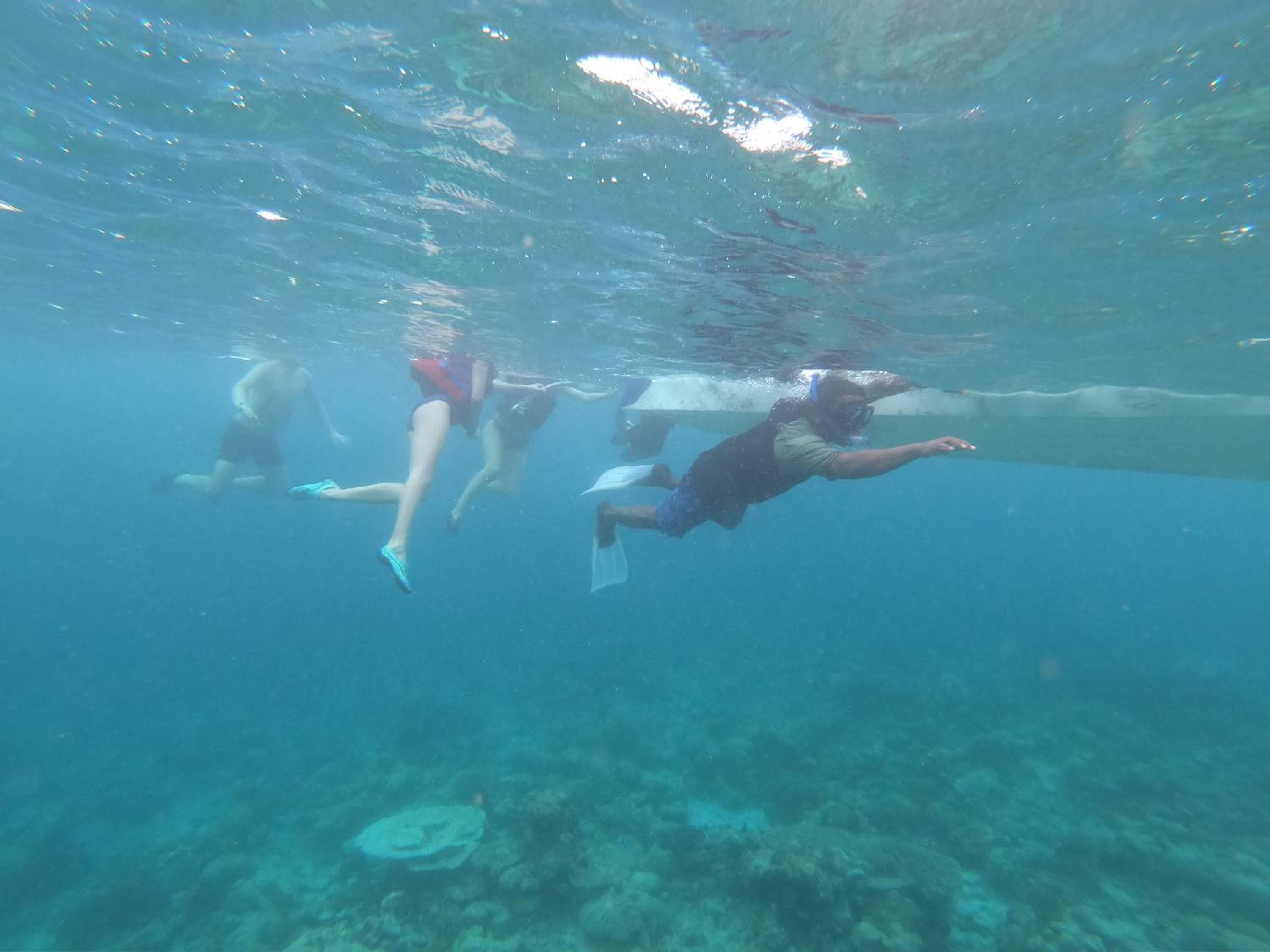 Sevinex Inn - View 56