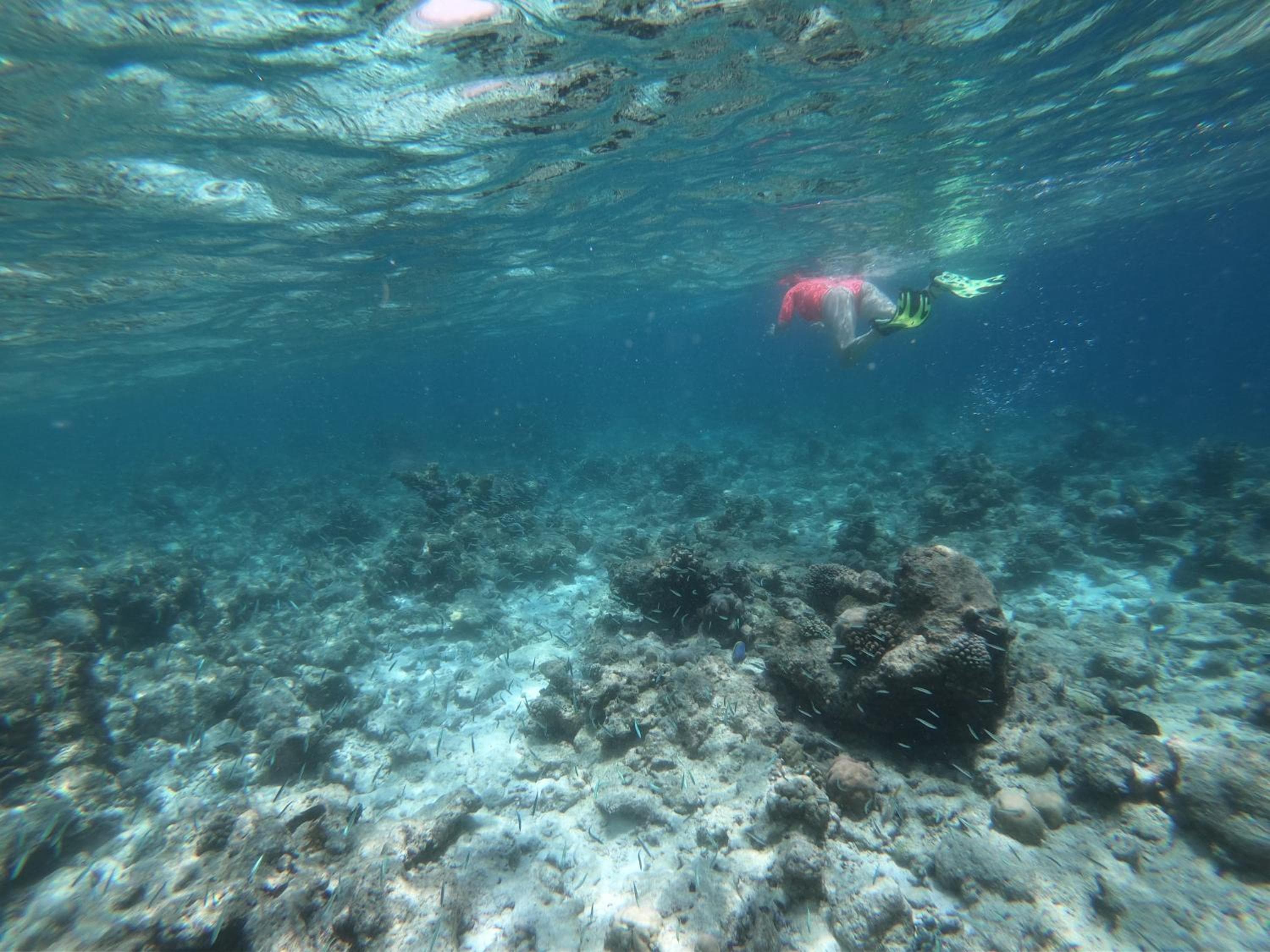 Sevinex Inn - View 59