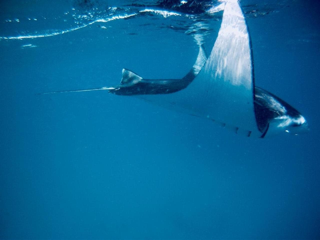 Veli Beach Inn - View 59