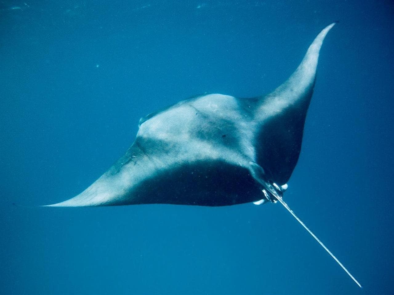 Veli Beach Inn - View 58