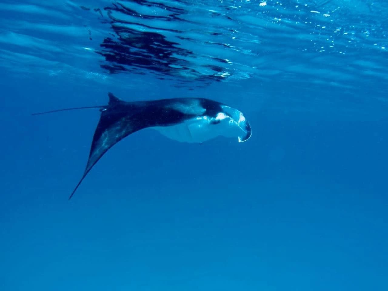 Veli Beach Inn - View 45